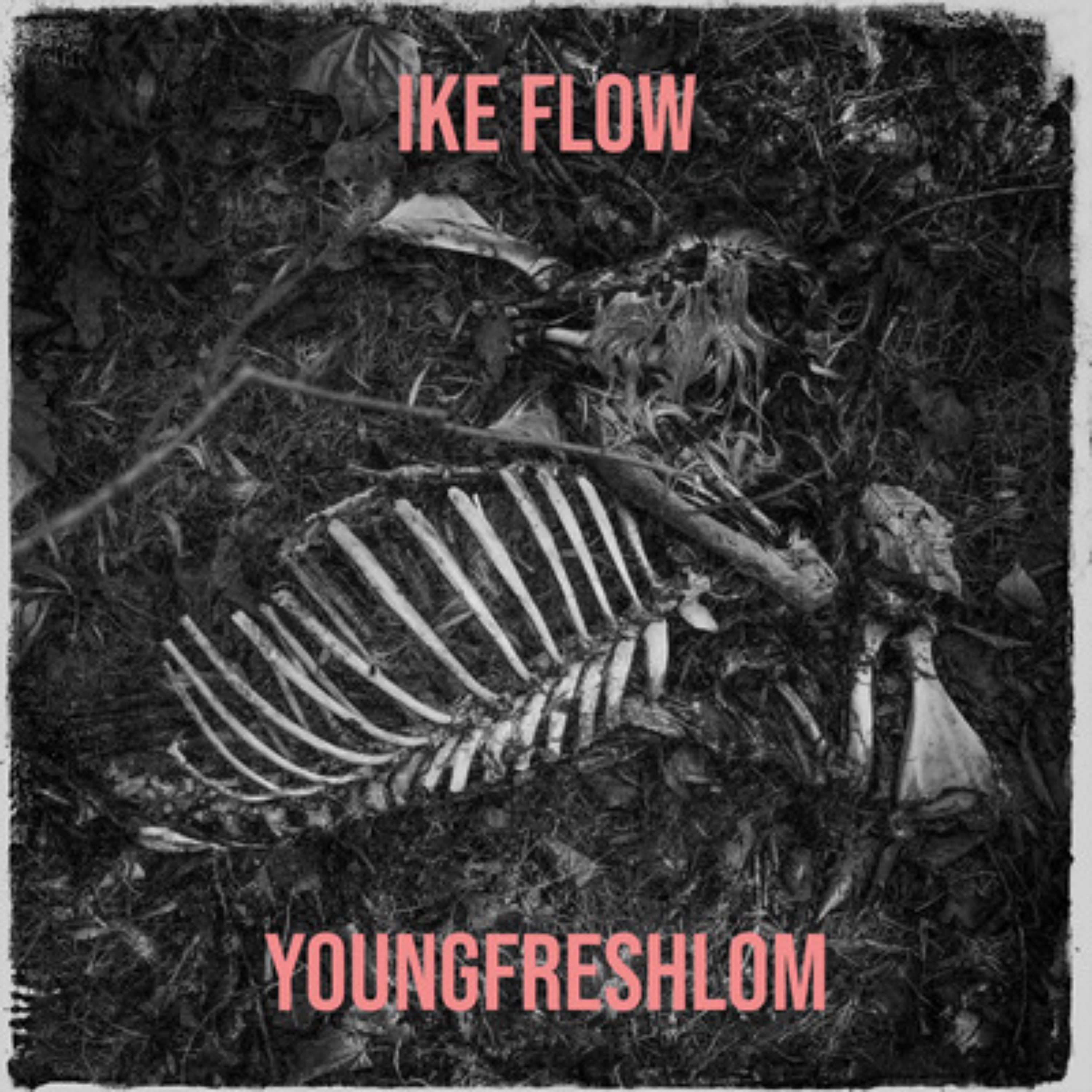 Ike Flow artwork