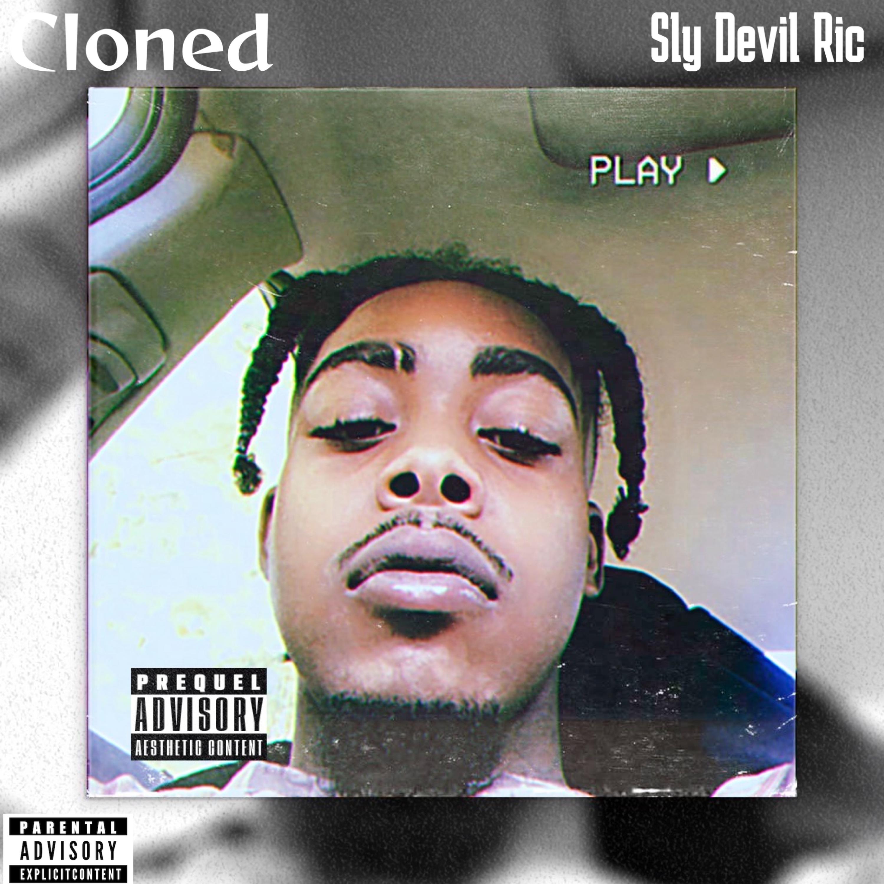 Cloned artwork