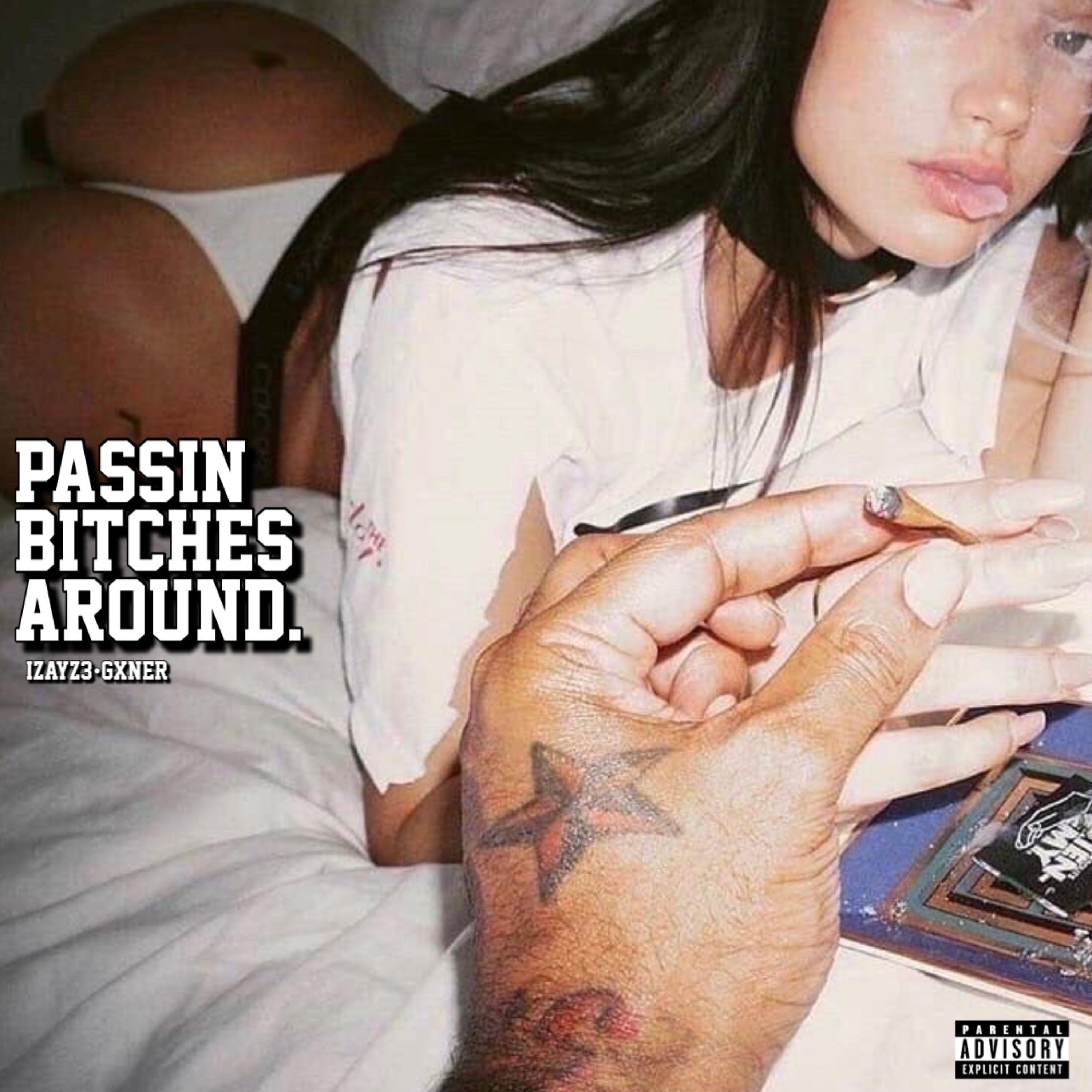 PassinBitchesAround. artwork