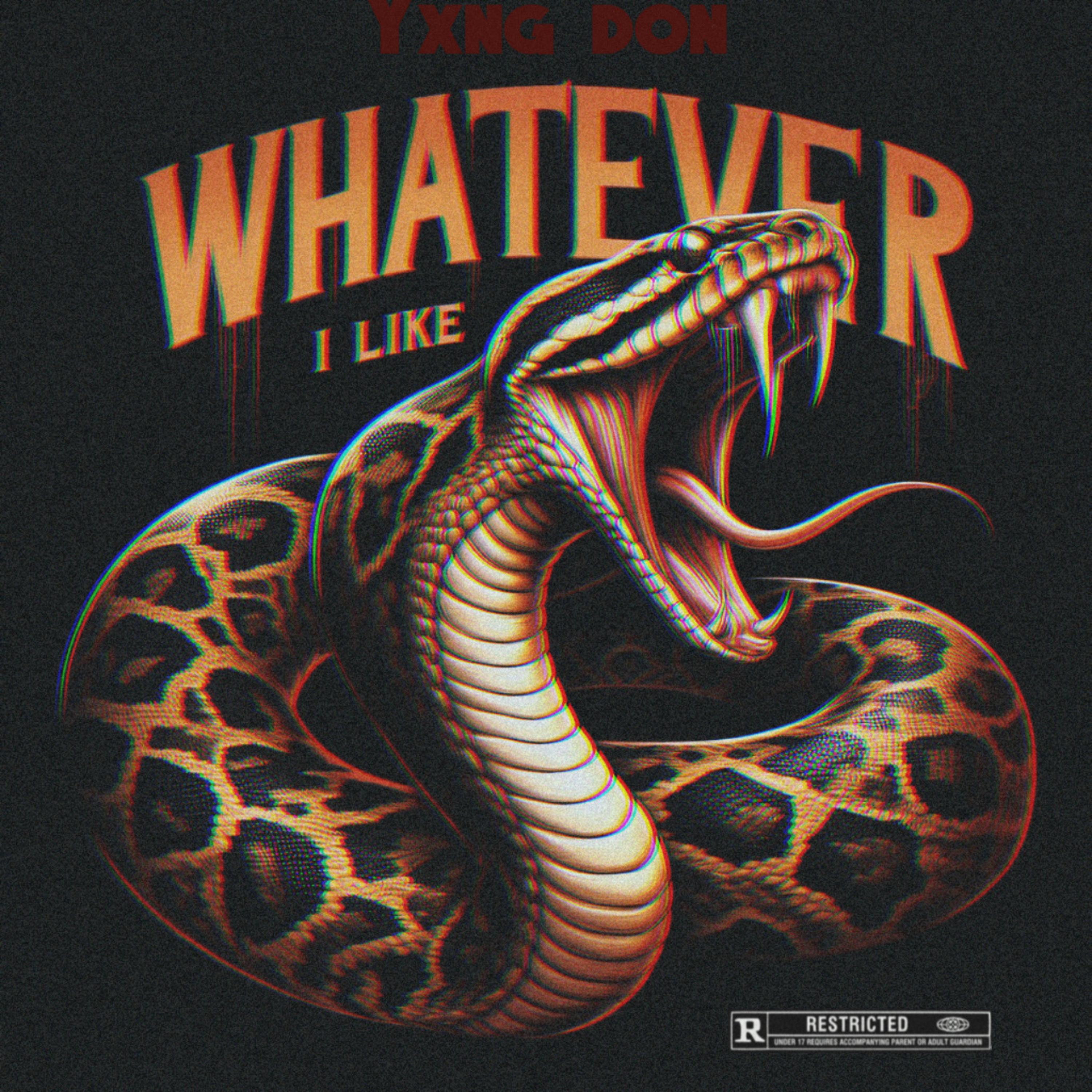 Whatever I like artwork