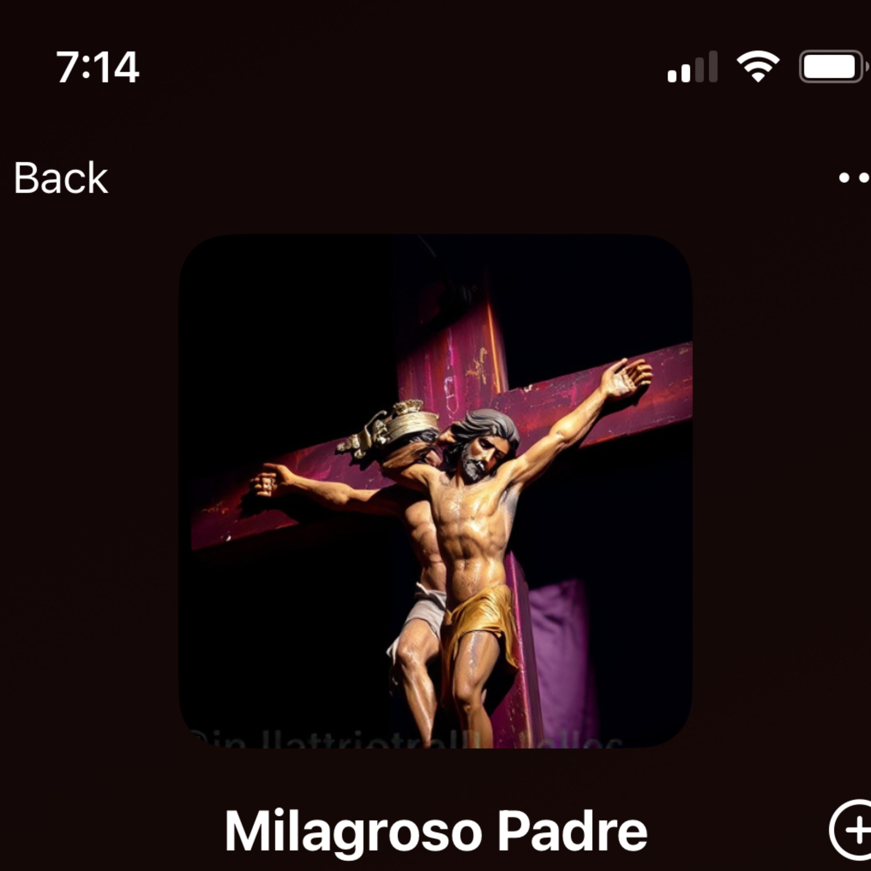 Milagroso Padre artwork