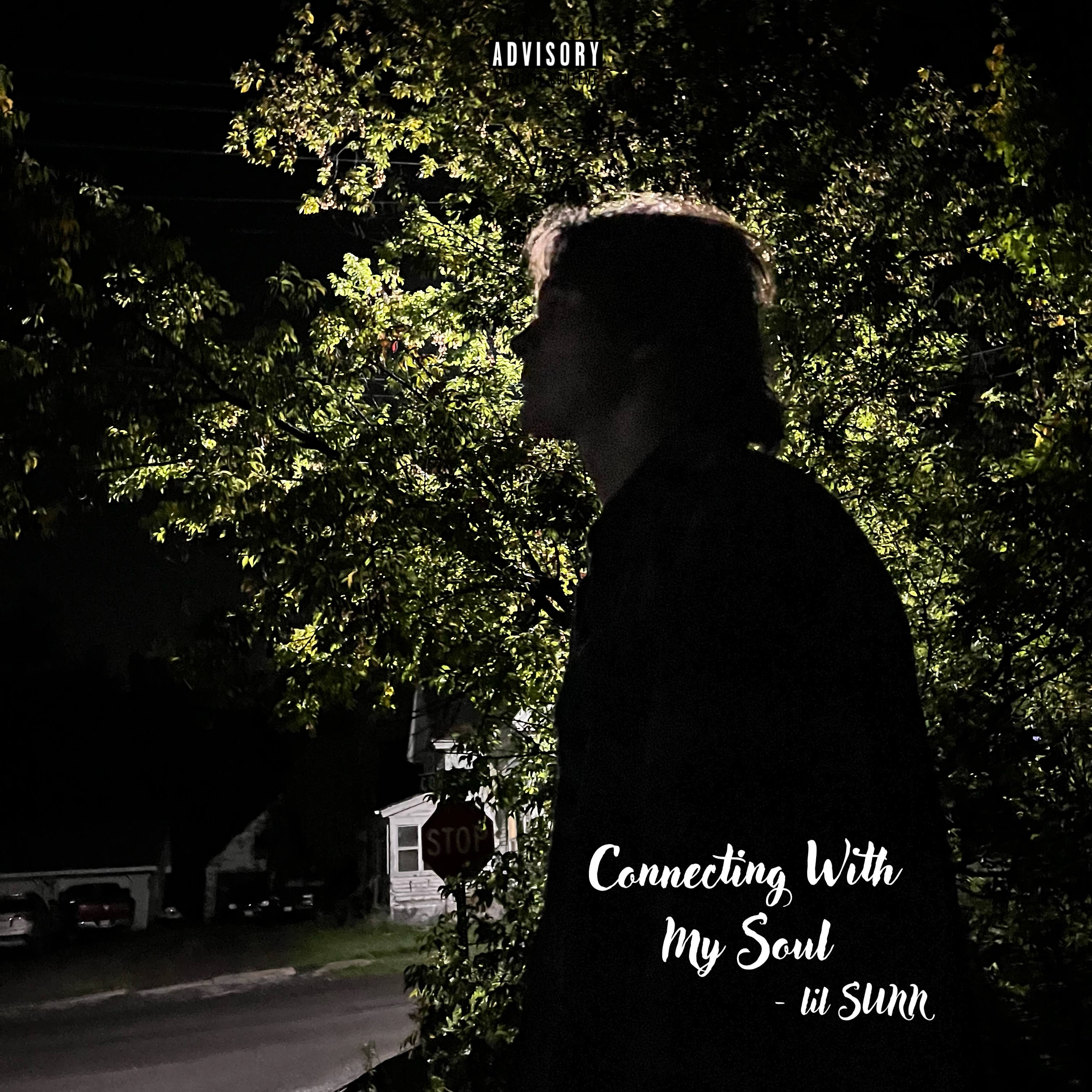 Connecting With My Soul artwork