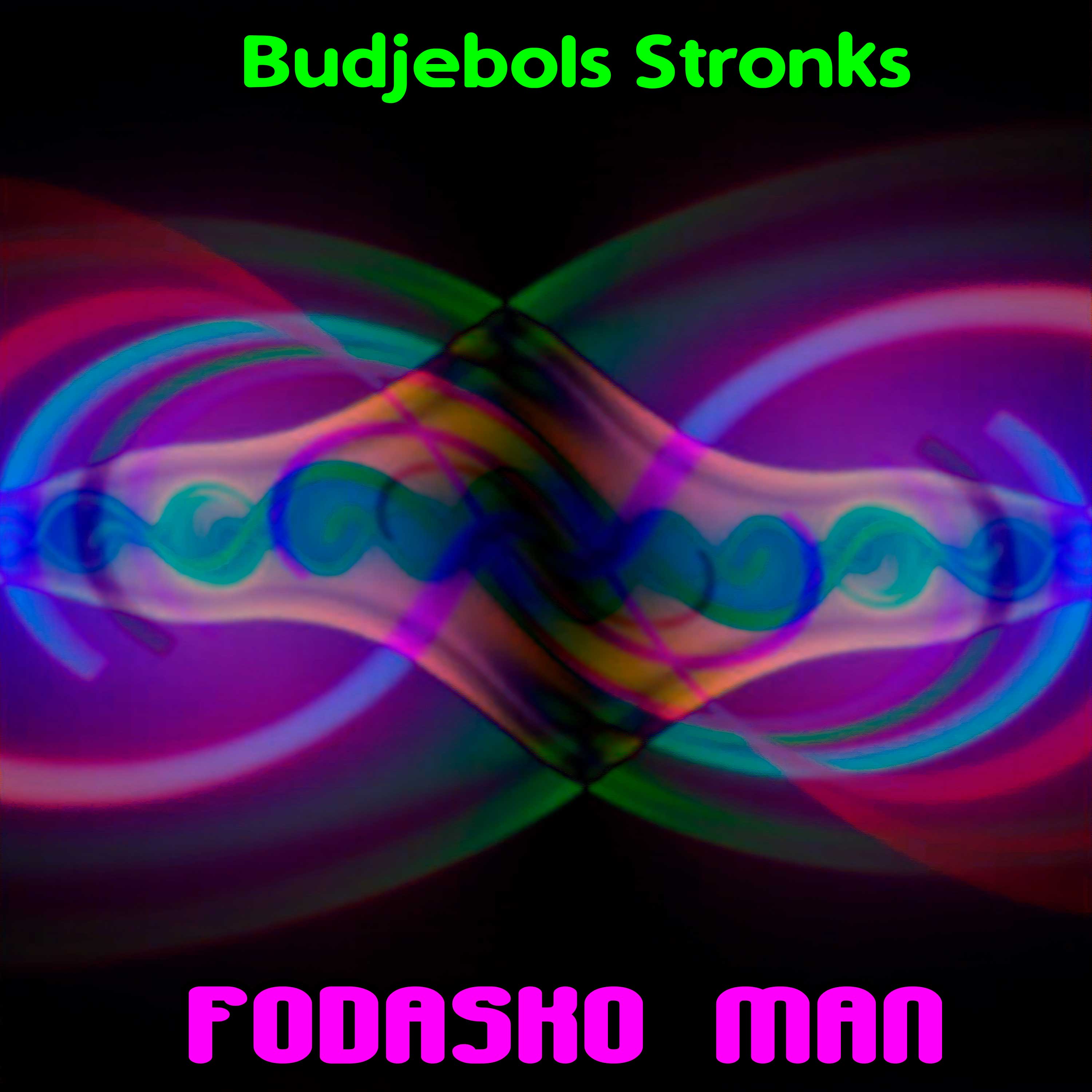 Budjebols Stronks artwork