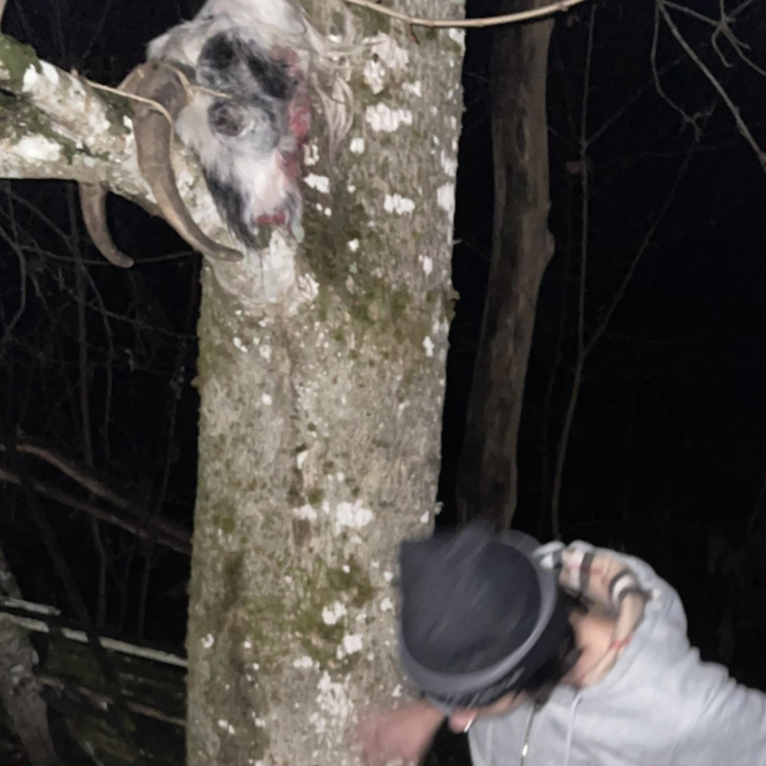 might blow off Maa head artwork