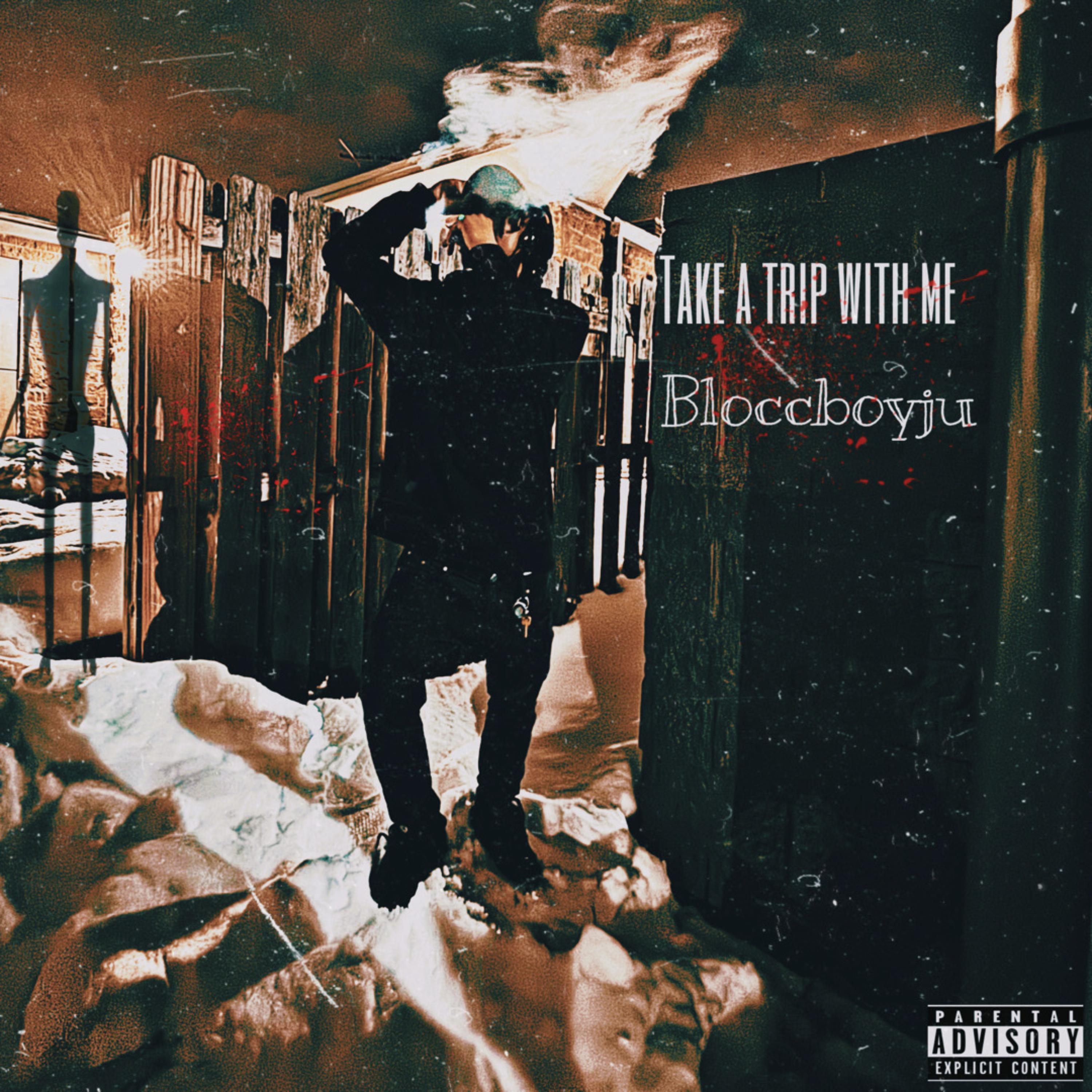 Take A Trip With Me artwork