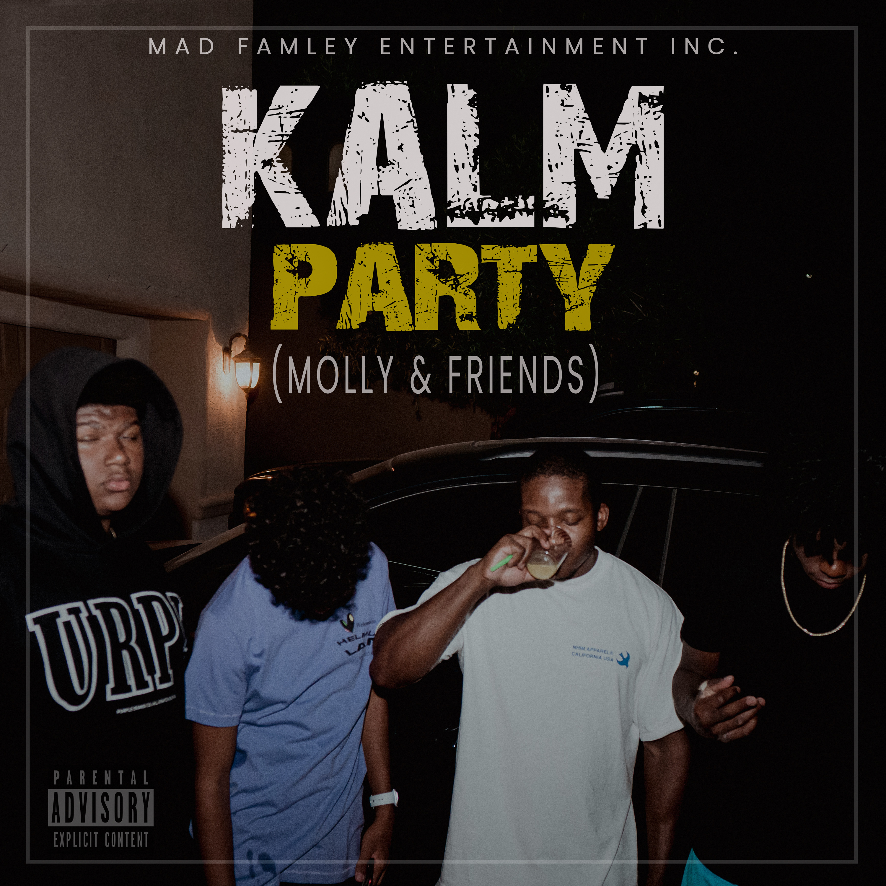 Party (Molly & Friends) artwork