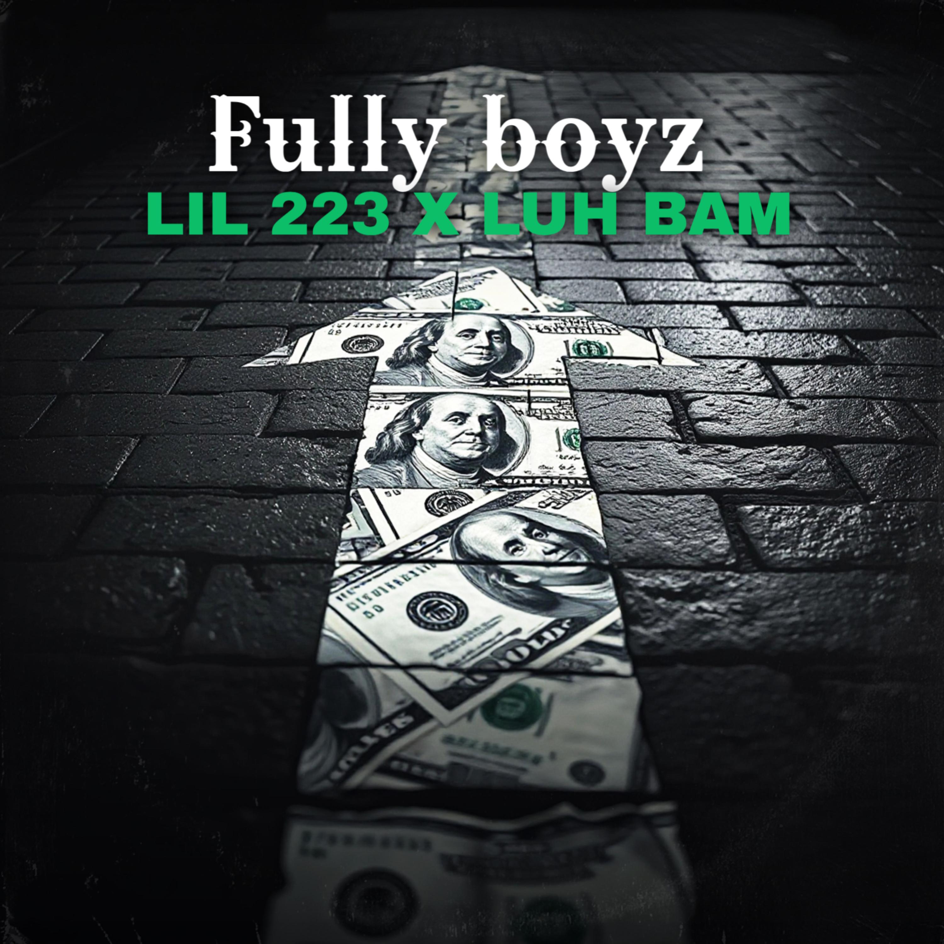 Fully boyz artwork