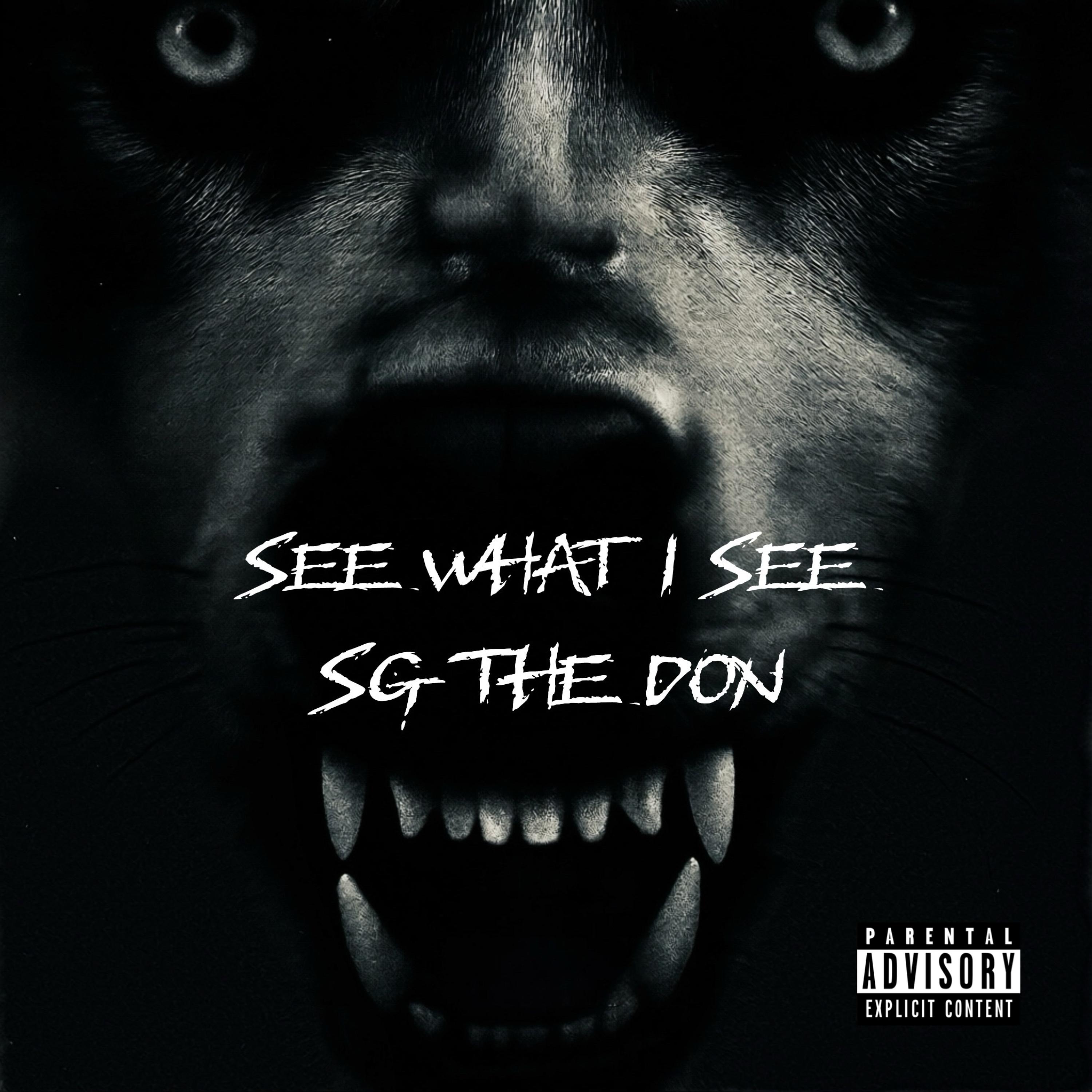 See What I See artwork