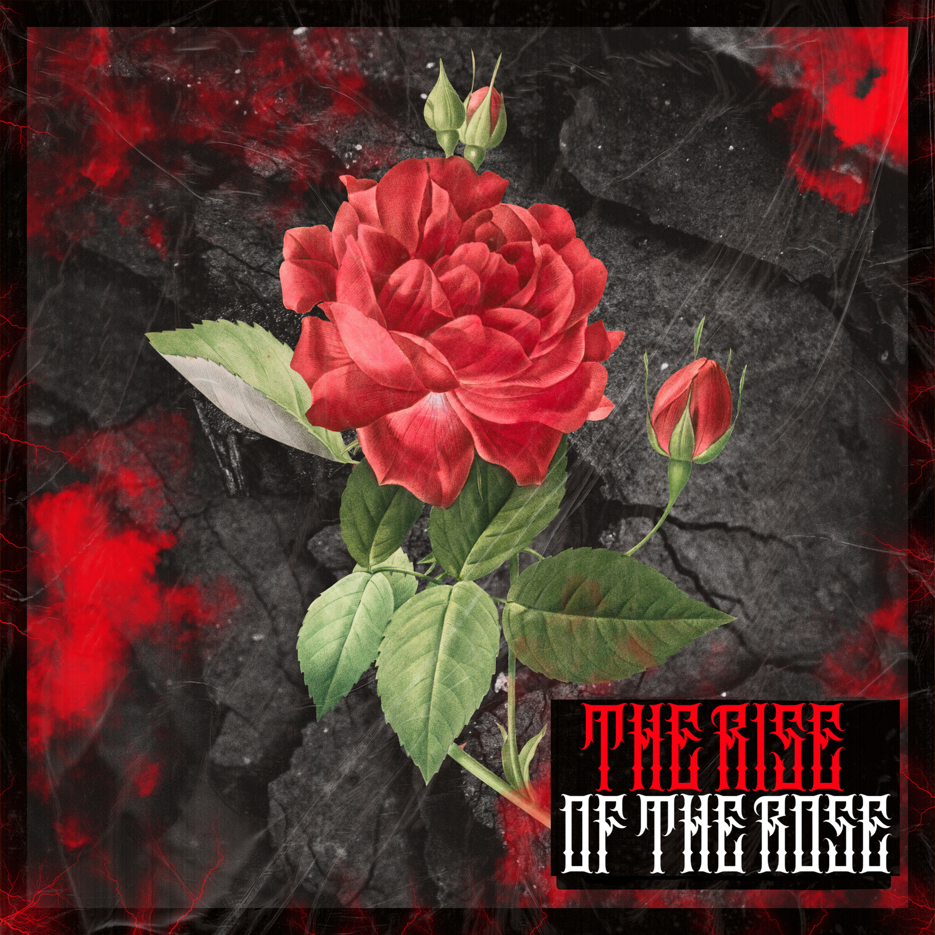 The Rise of The Rose artwork