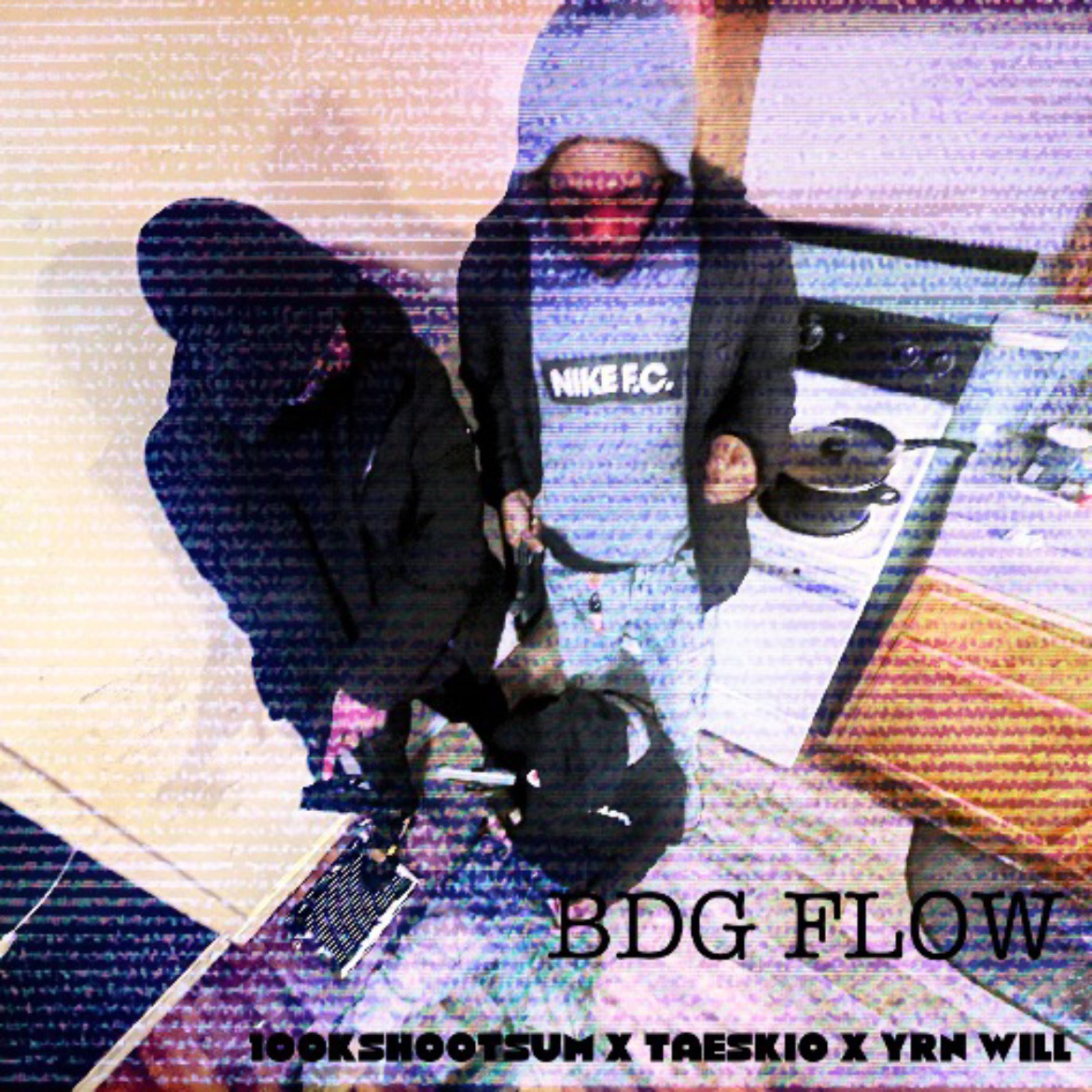 BDG FLOW artwork