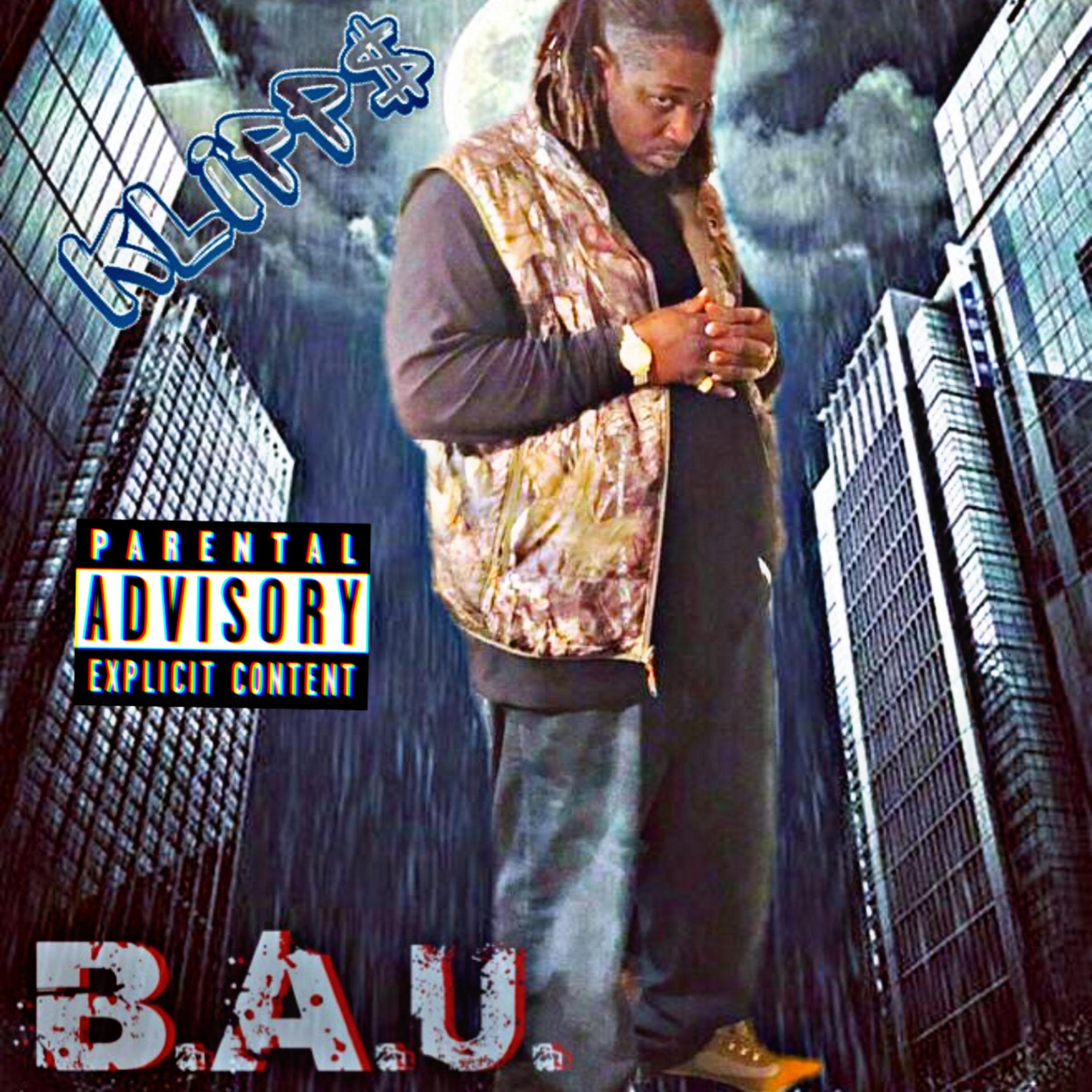 B.A.U. Business As Usual artwork