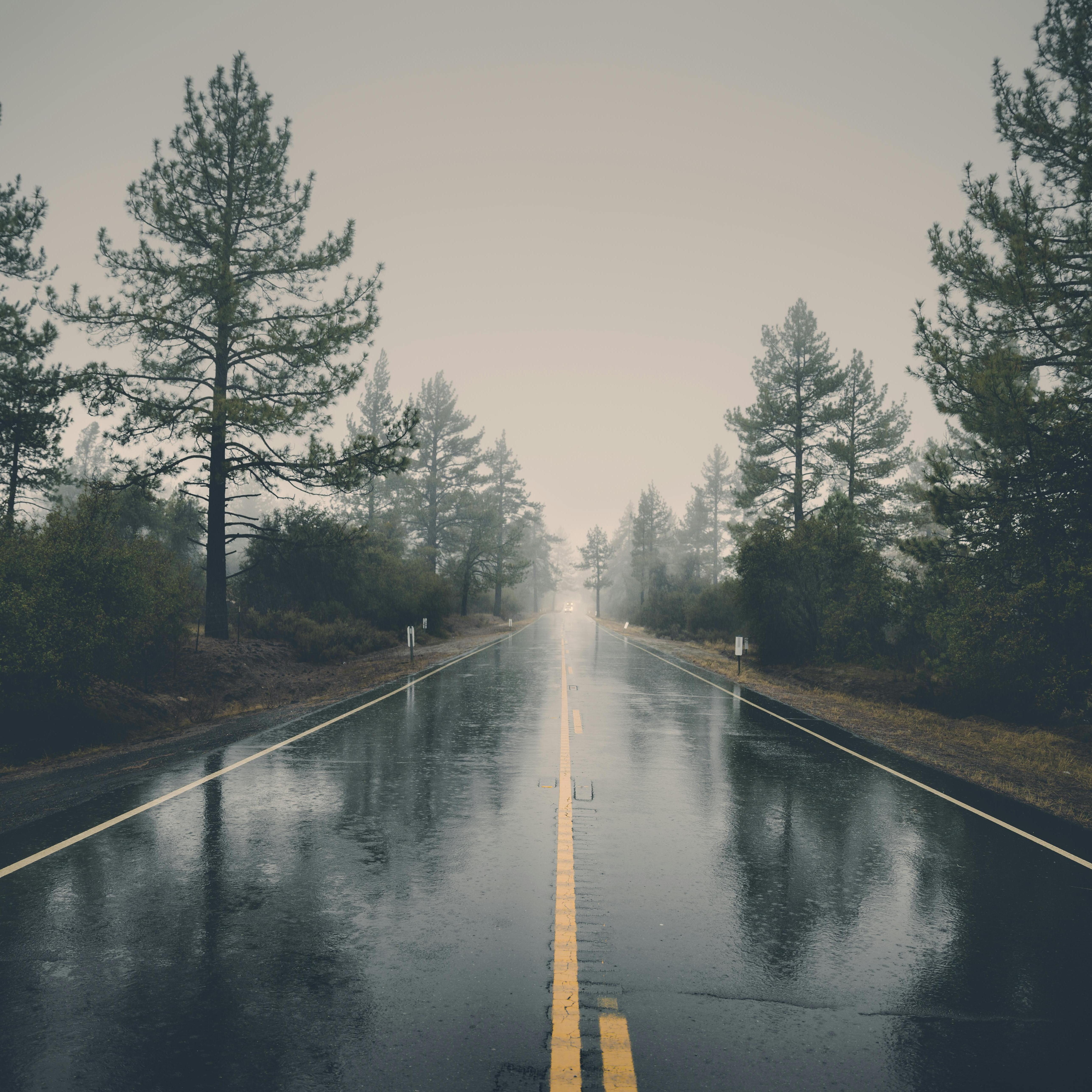 On Road. artwork