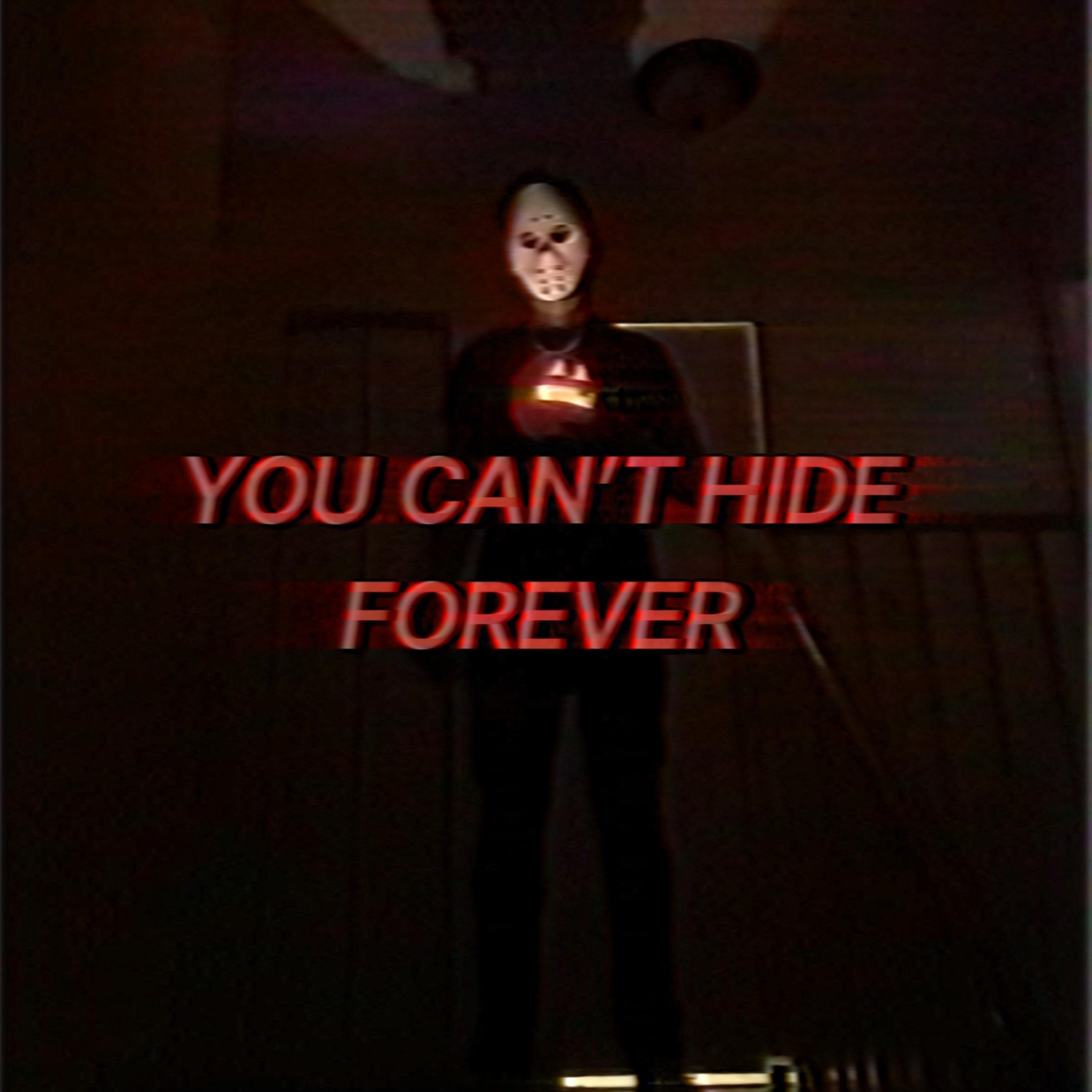 You Can’t Hide Forever artwork