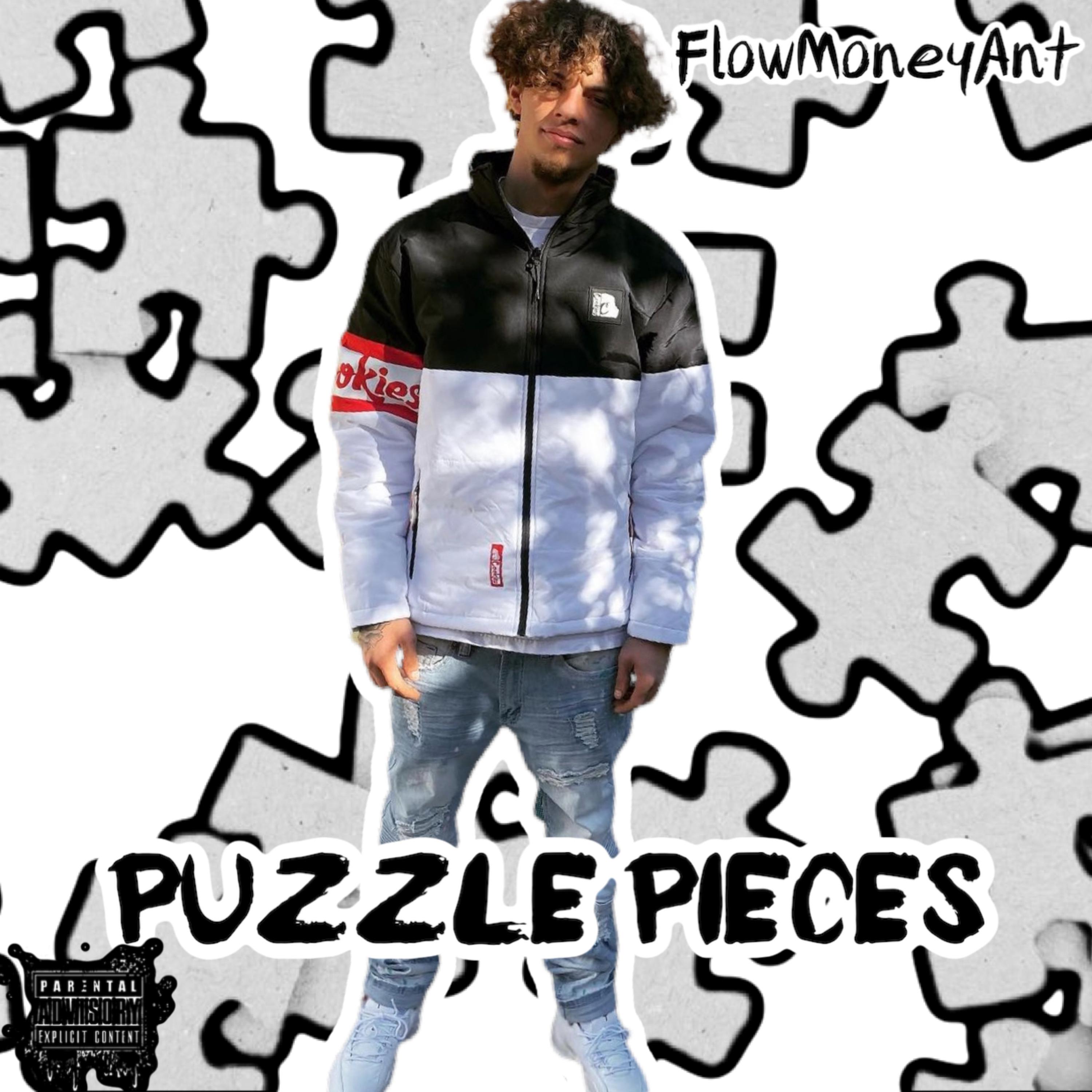 Puzzle Pieces artwork