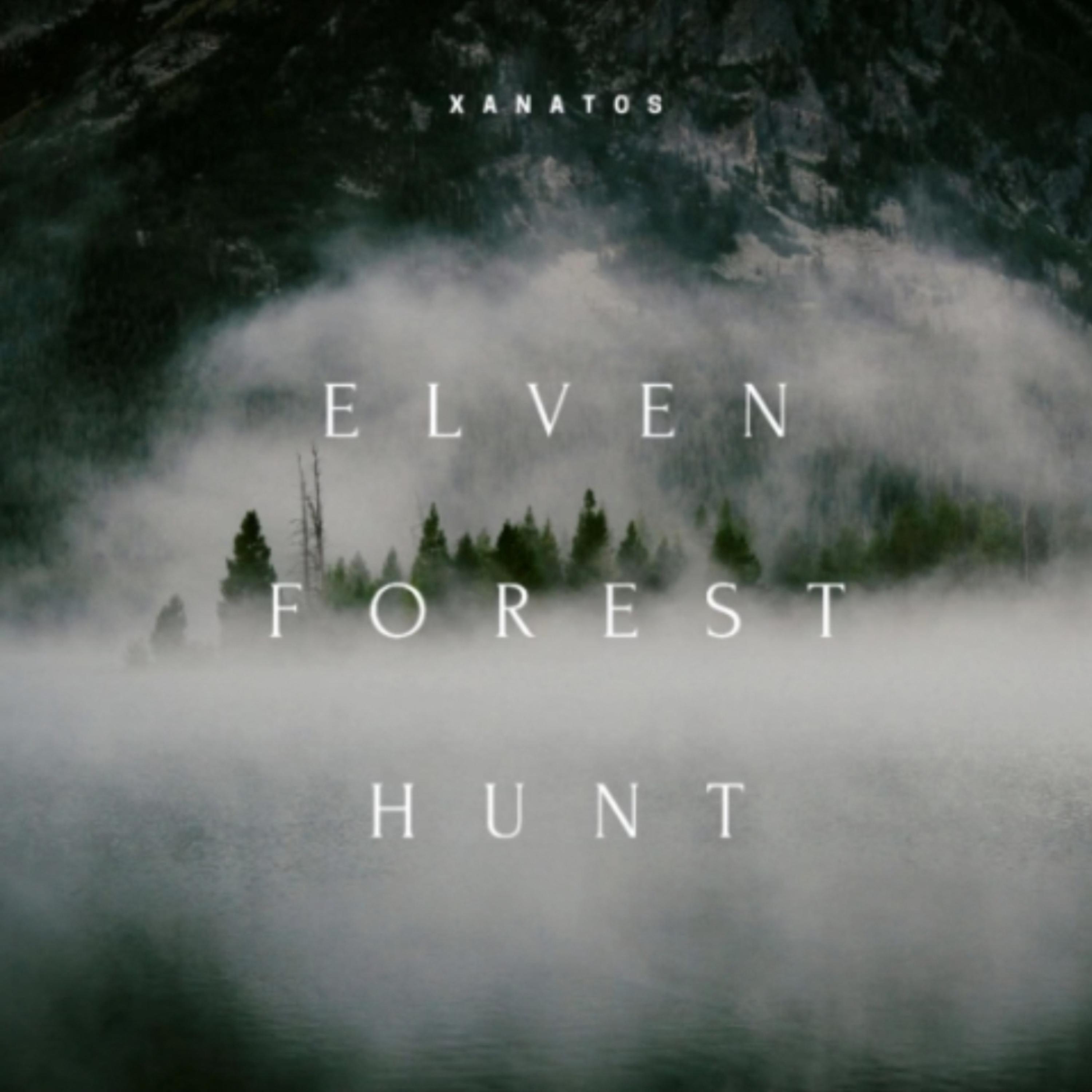 Elven Forest Hunt artwork