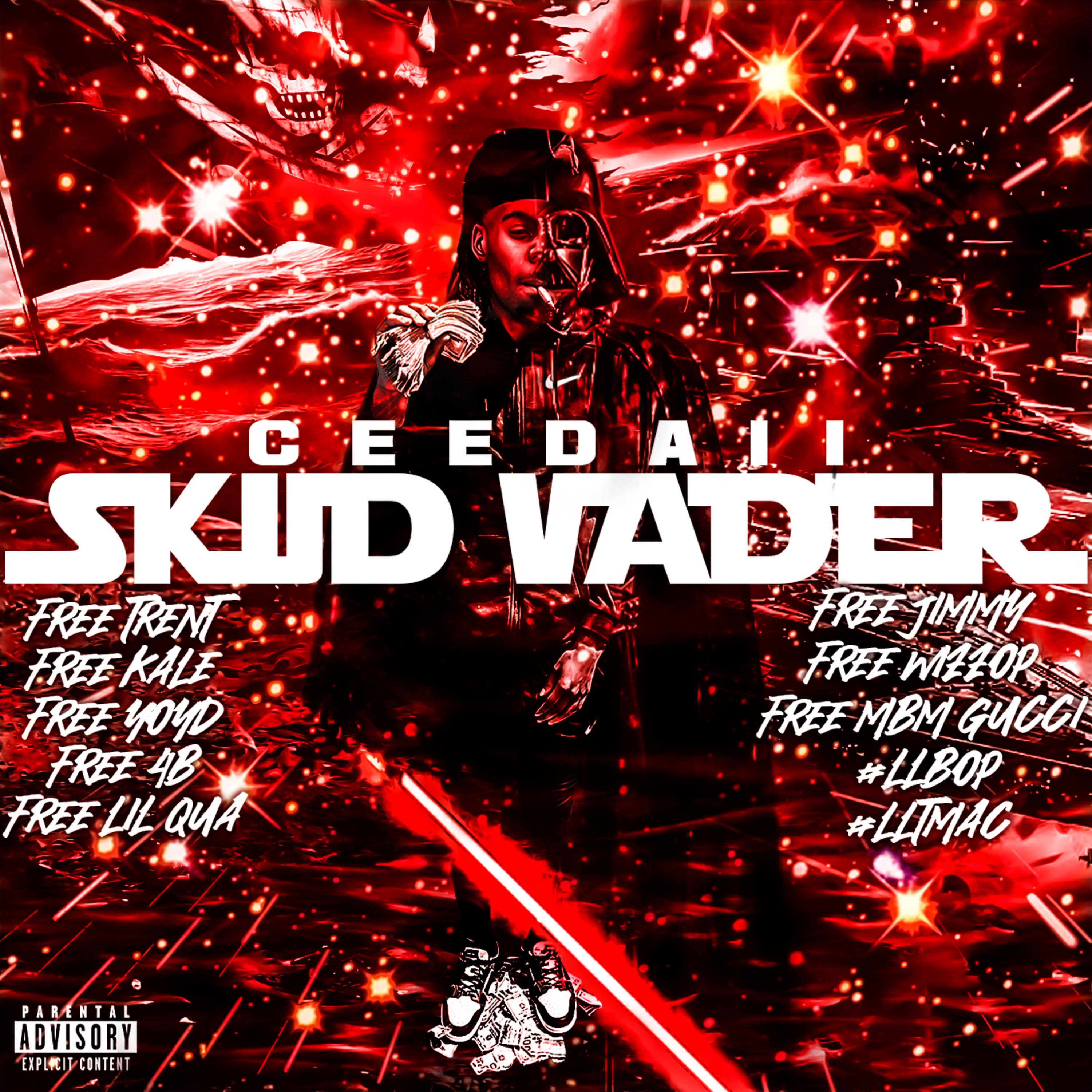 Scud Vader artwork