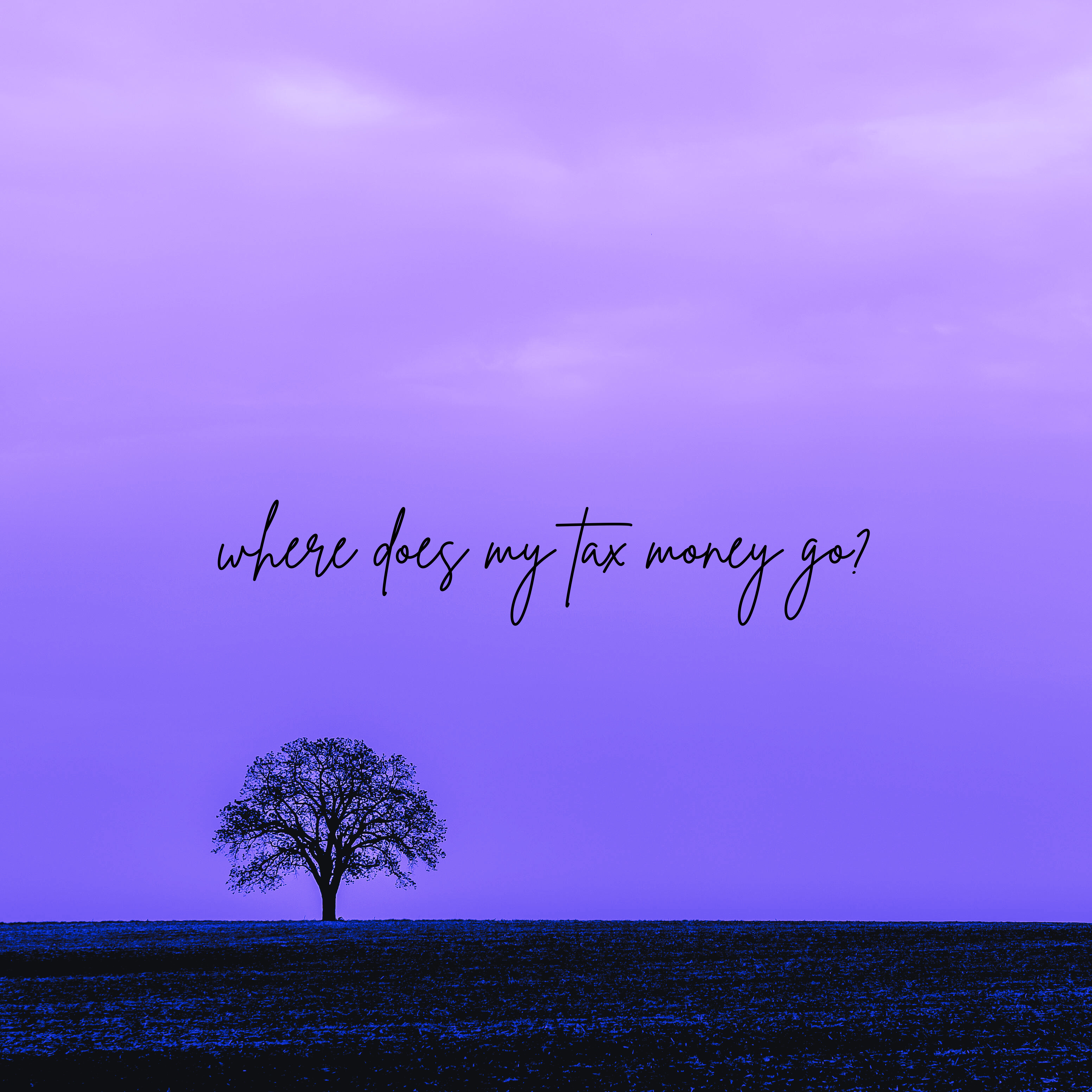 where does my tax money go? artwork