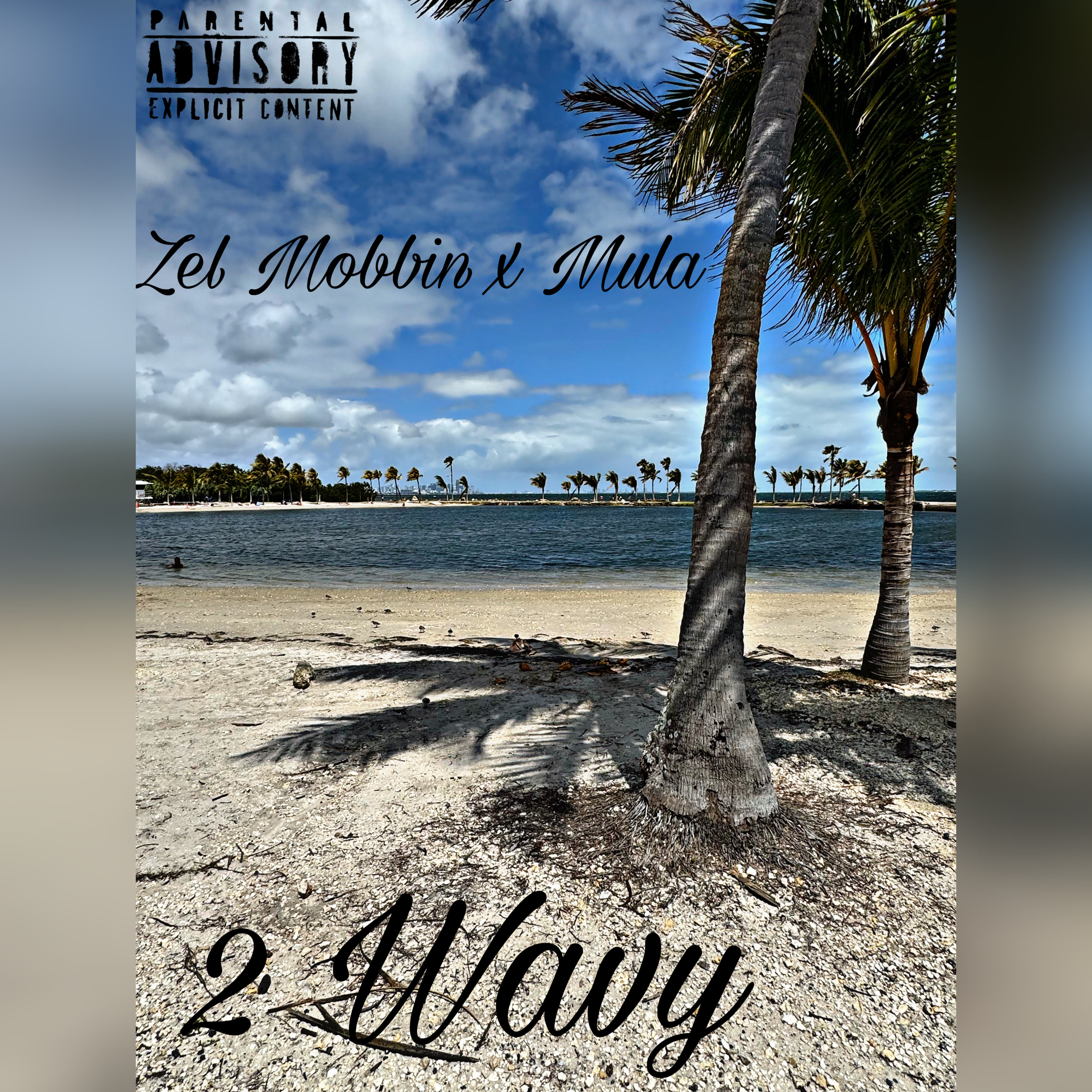 2 Wavy artwork