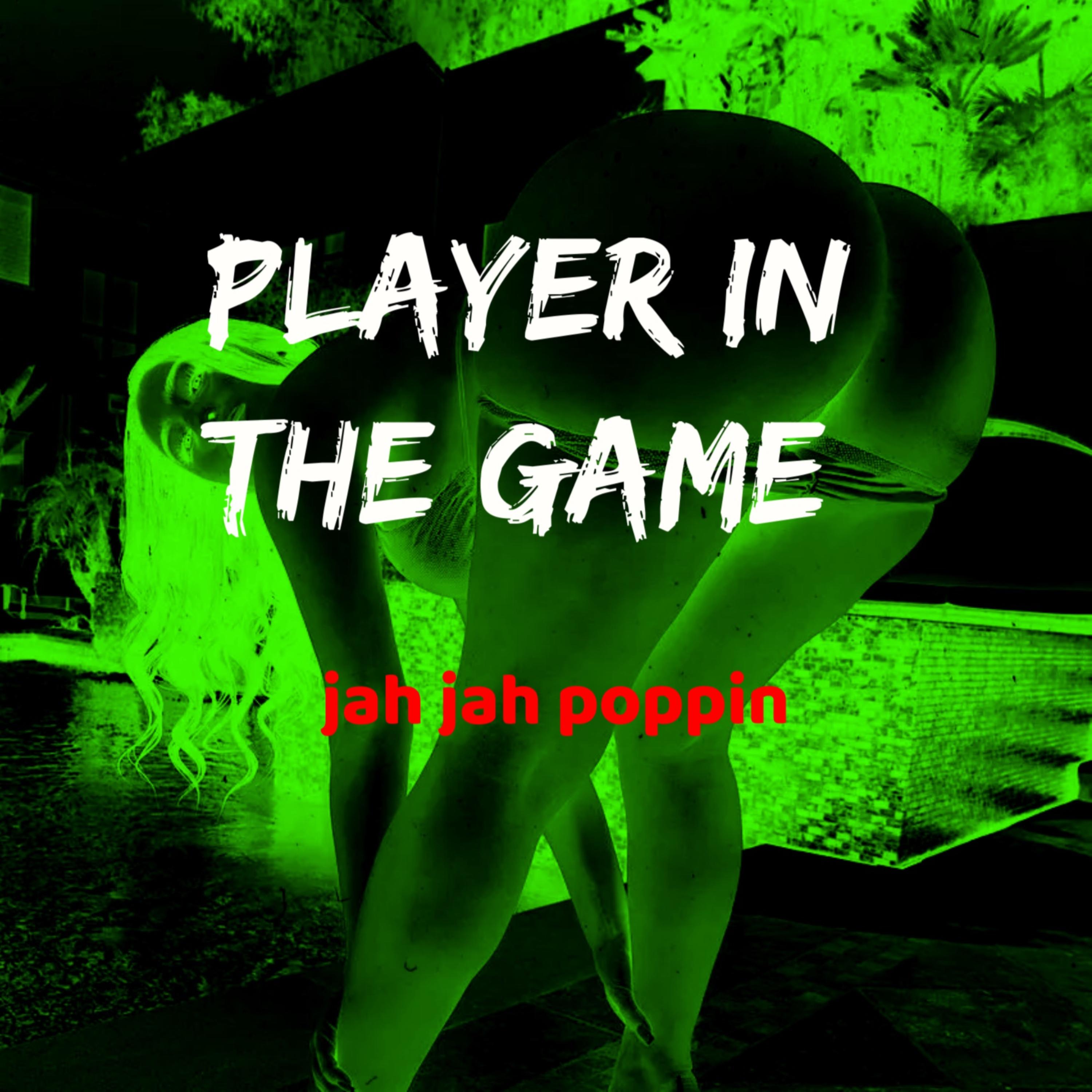 Player In The Game artwork