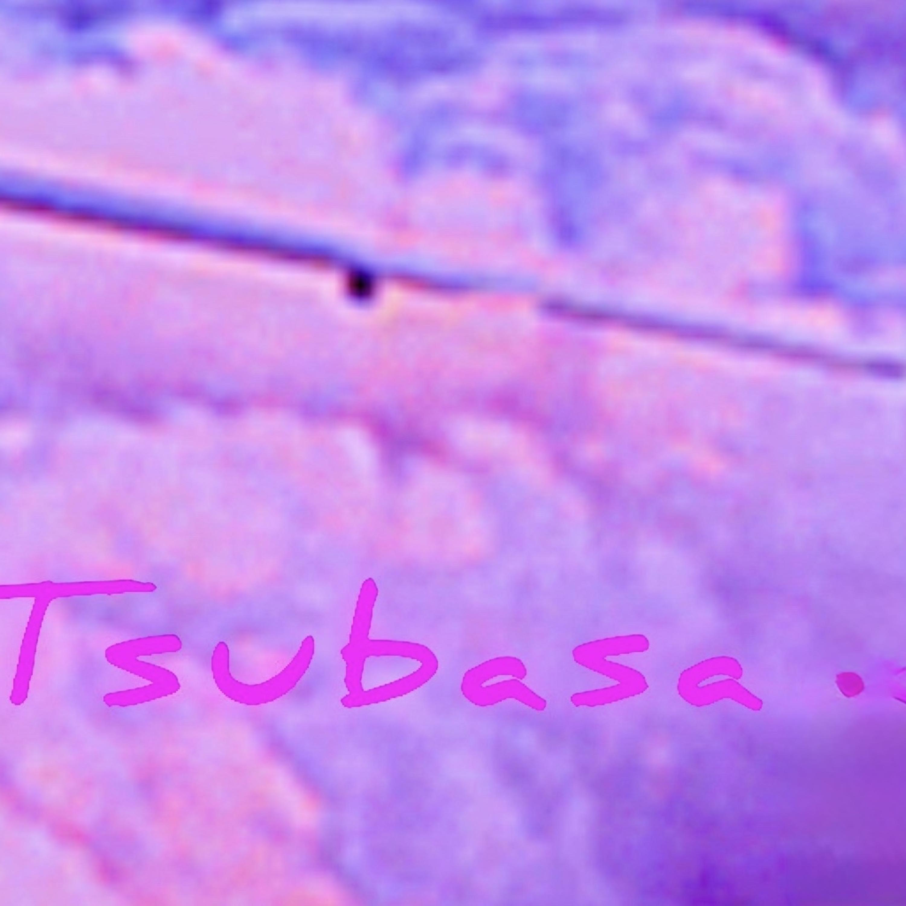 Tsubasa artwork