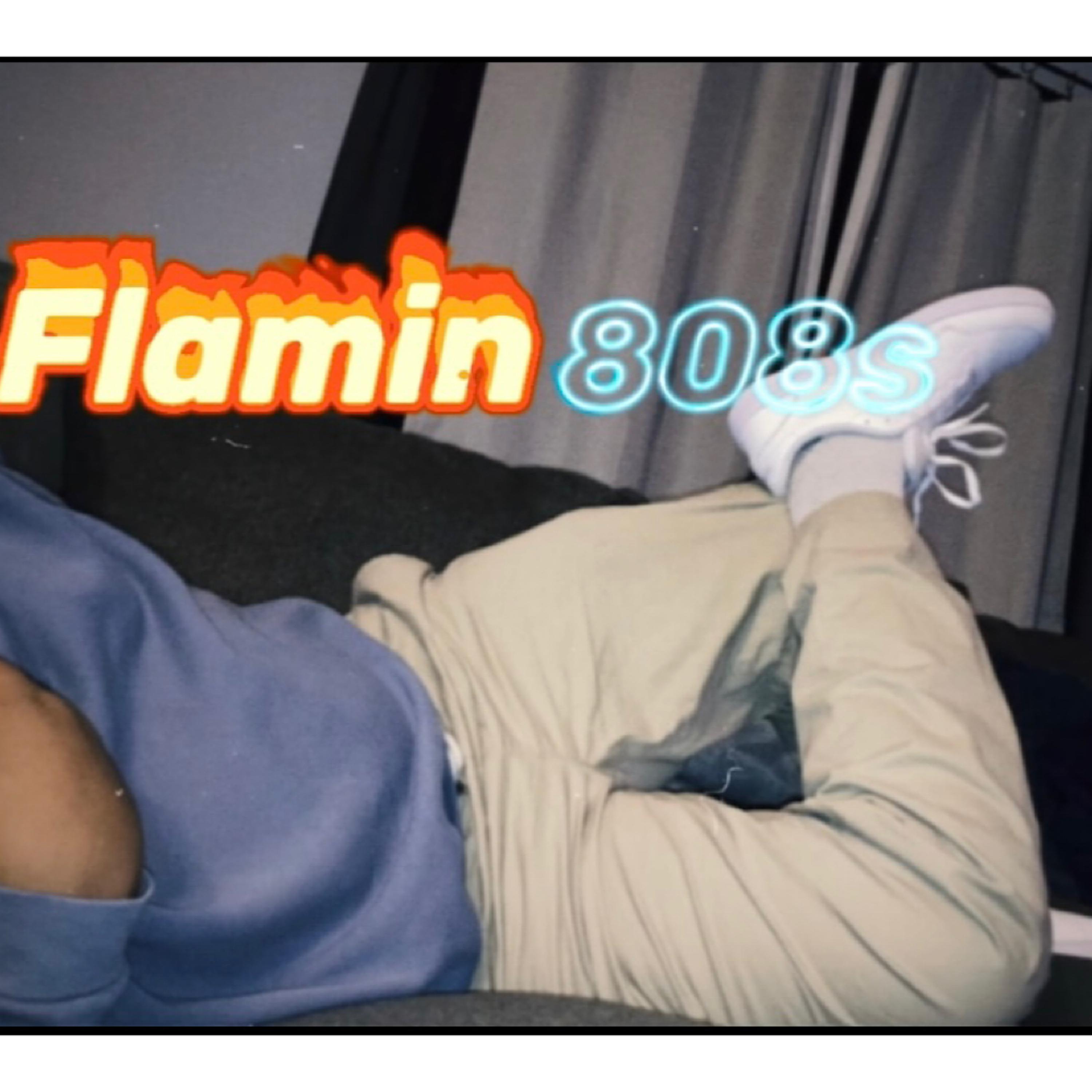 Flamin 808s artwork