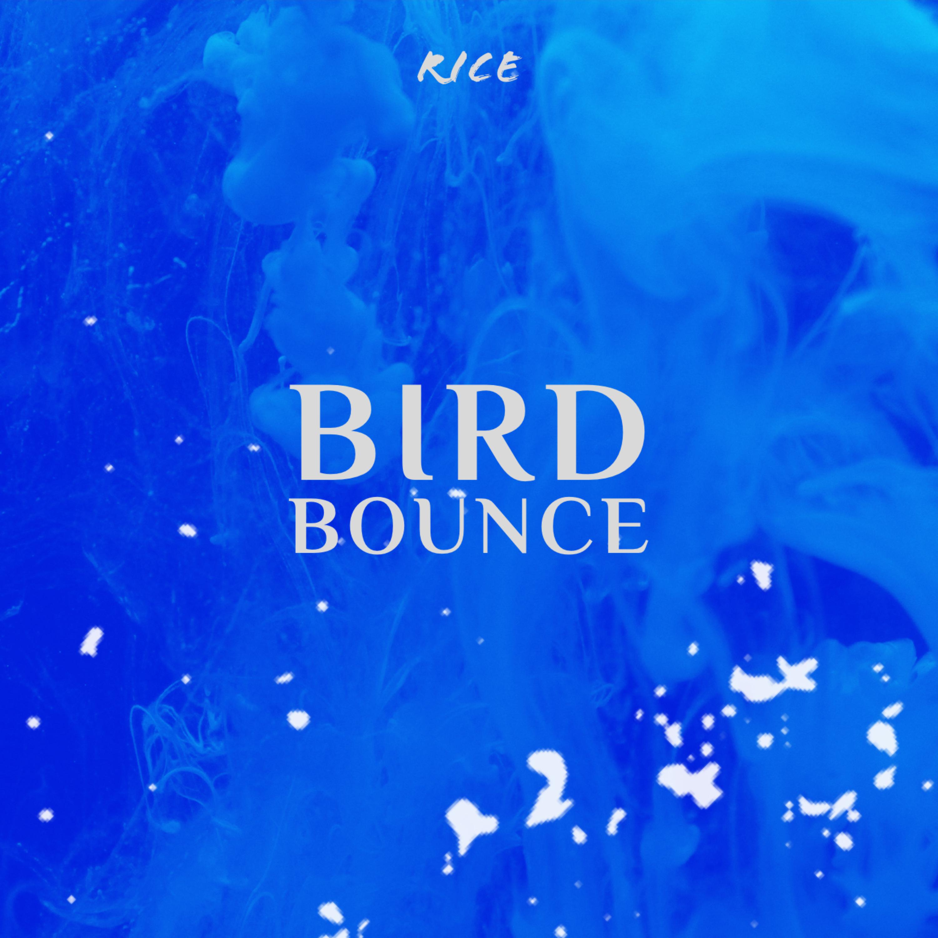 Bird Bounce artwork