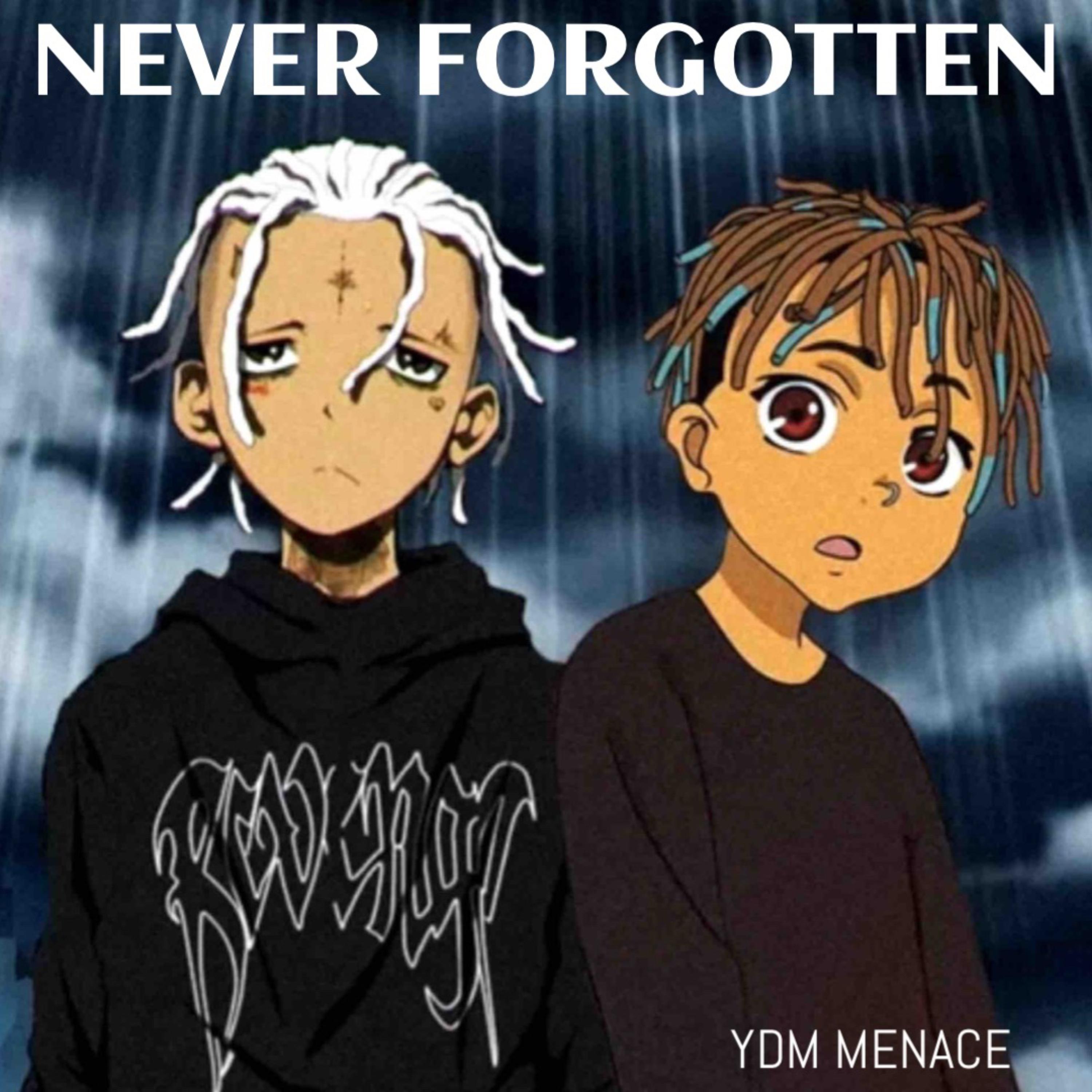 NEVER FORGOTTEN artwork
