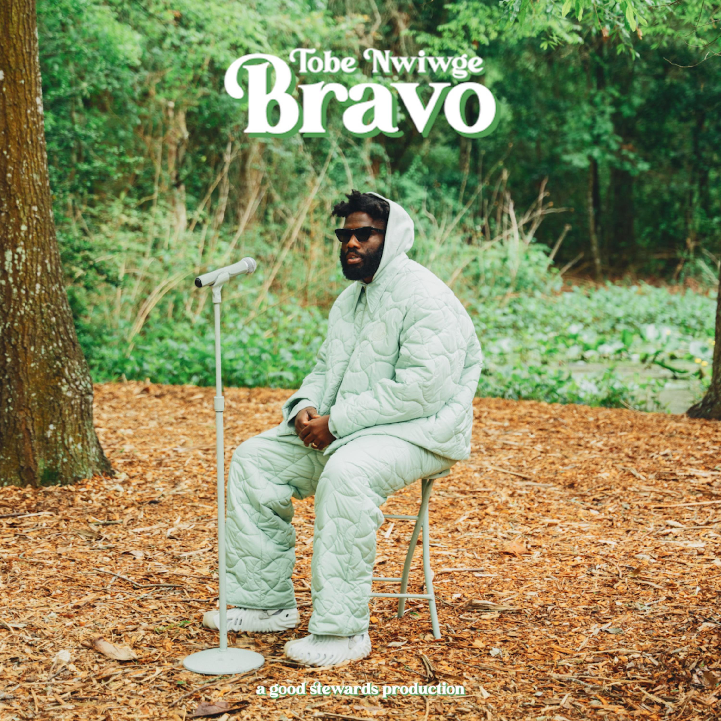 BRAVO artwork