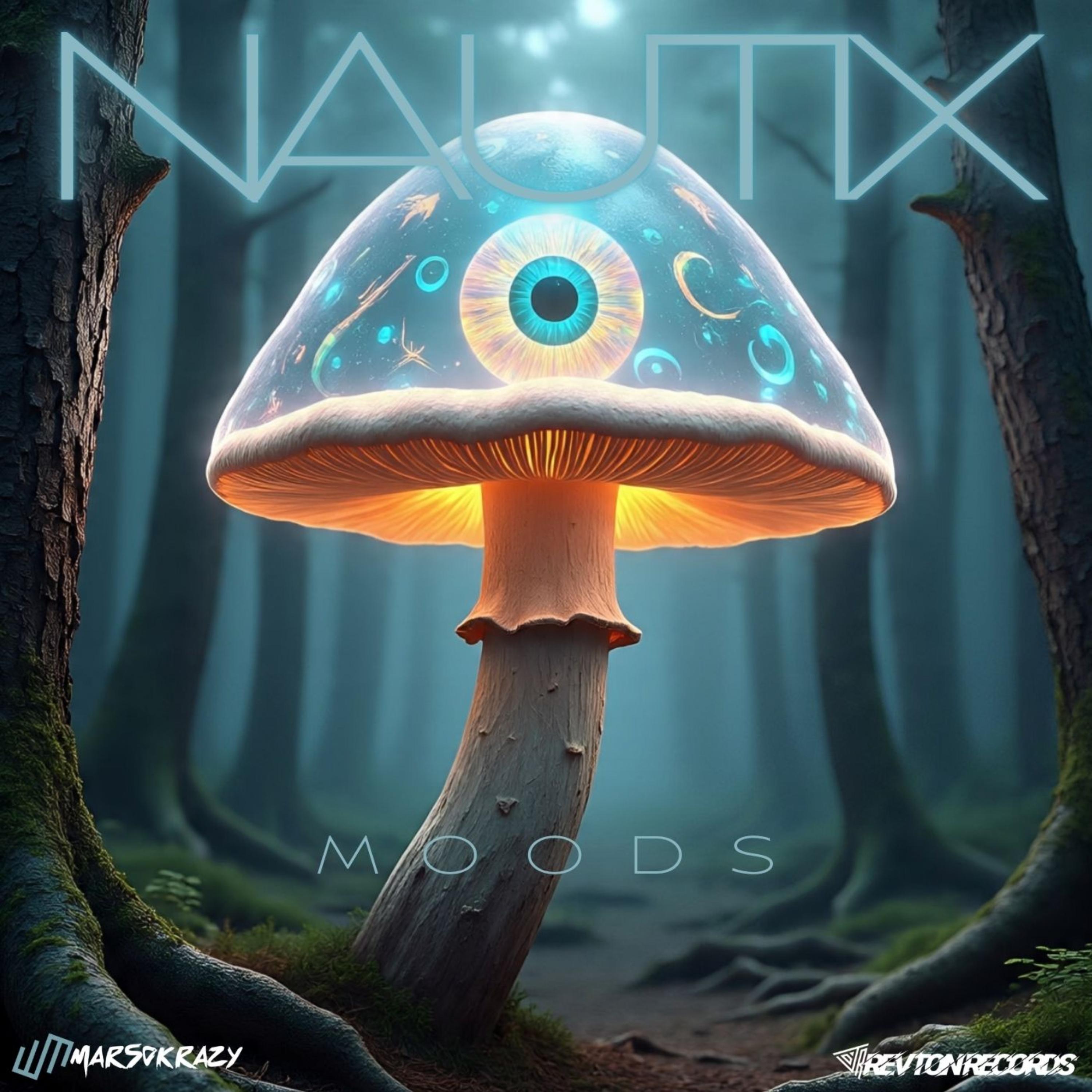 NAUTIX artwork