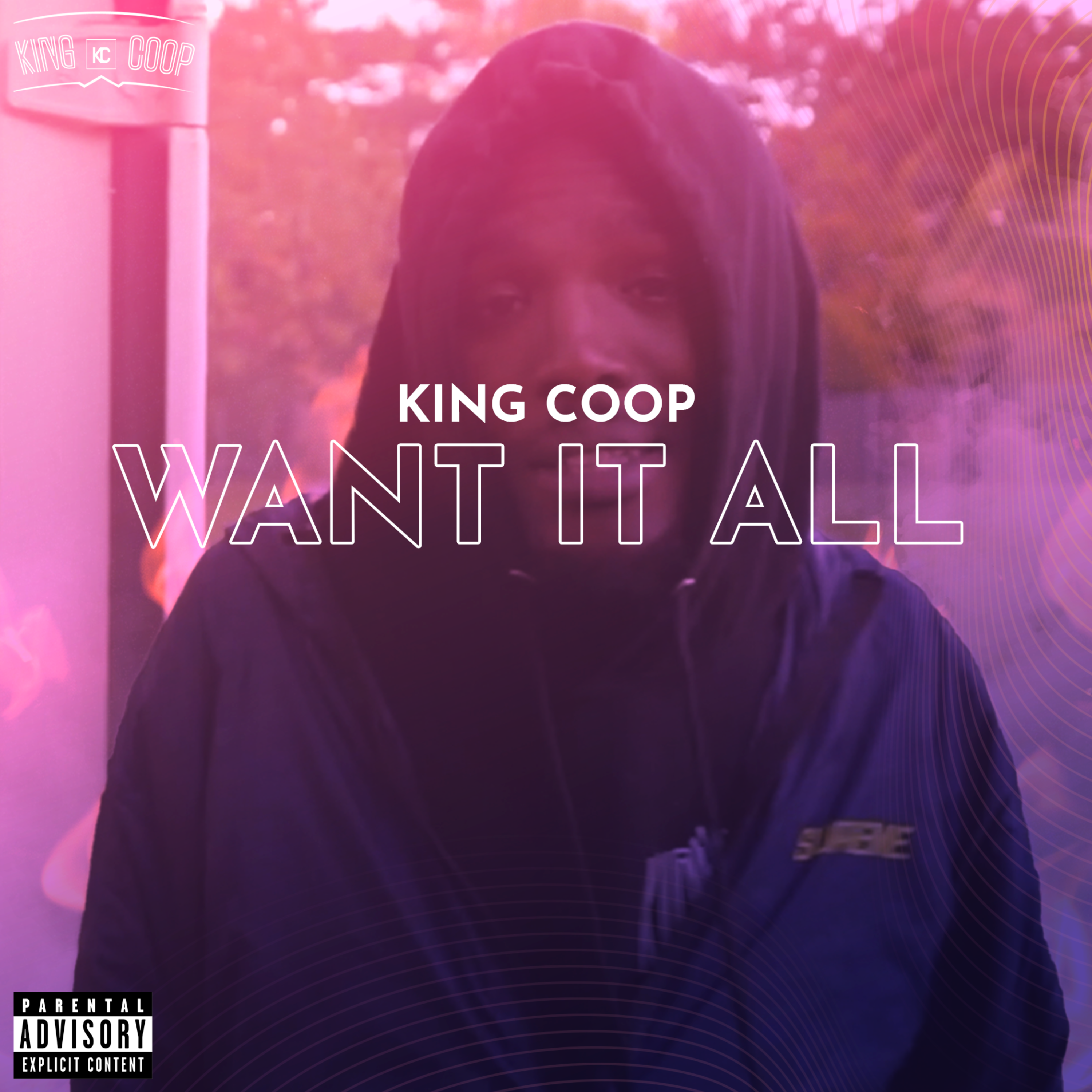Want it All artwork