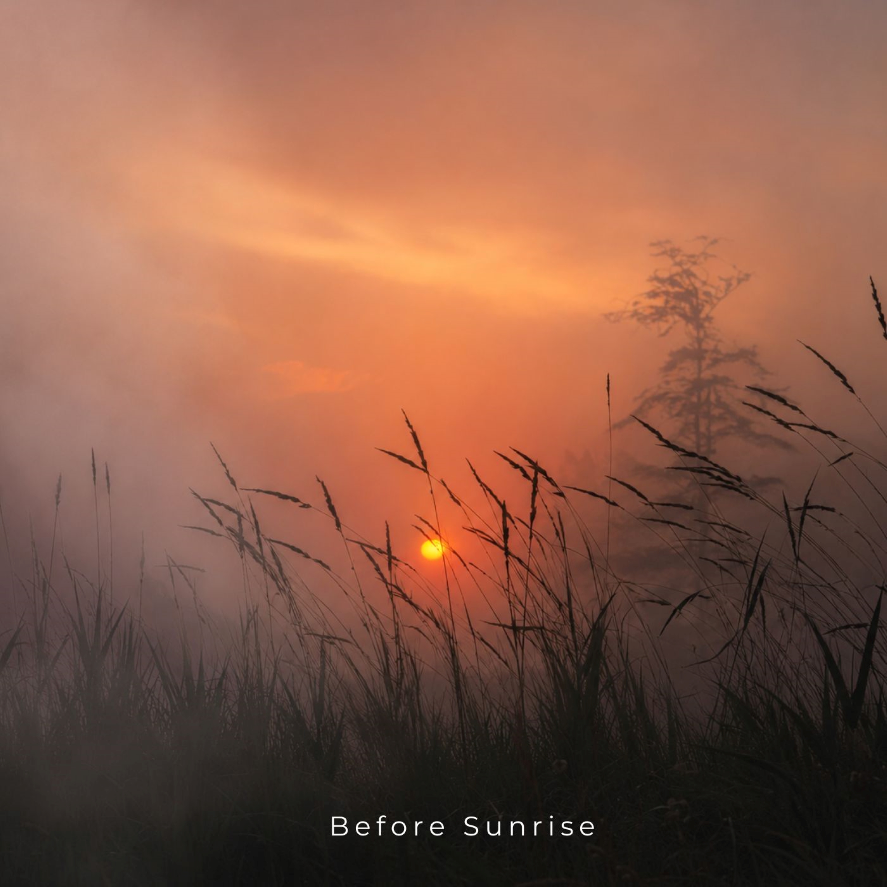 Before Sunrise by Oneness Sound cover art
