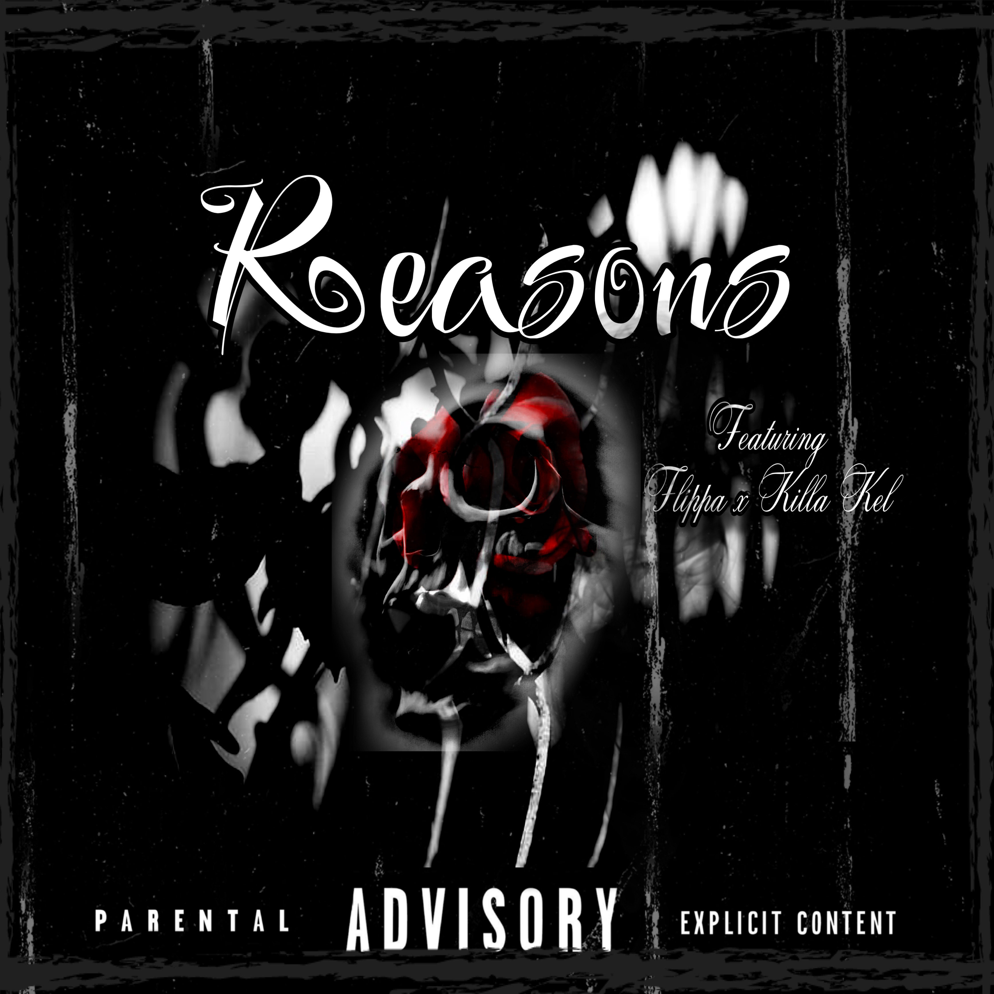 Reasons artwork