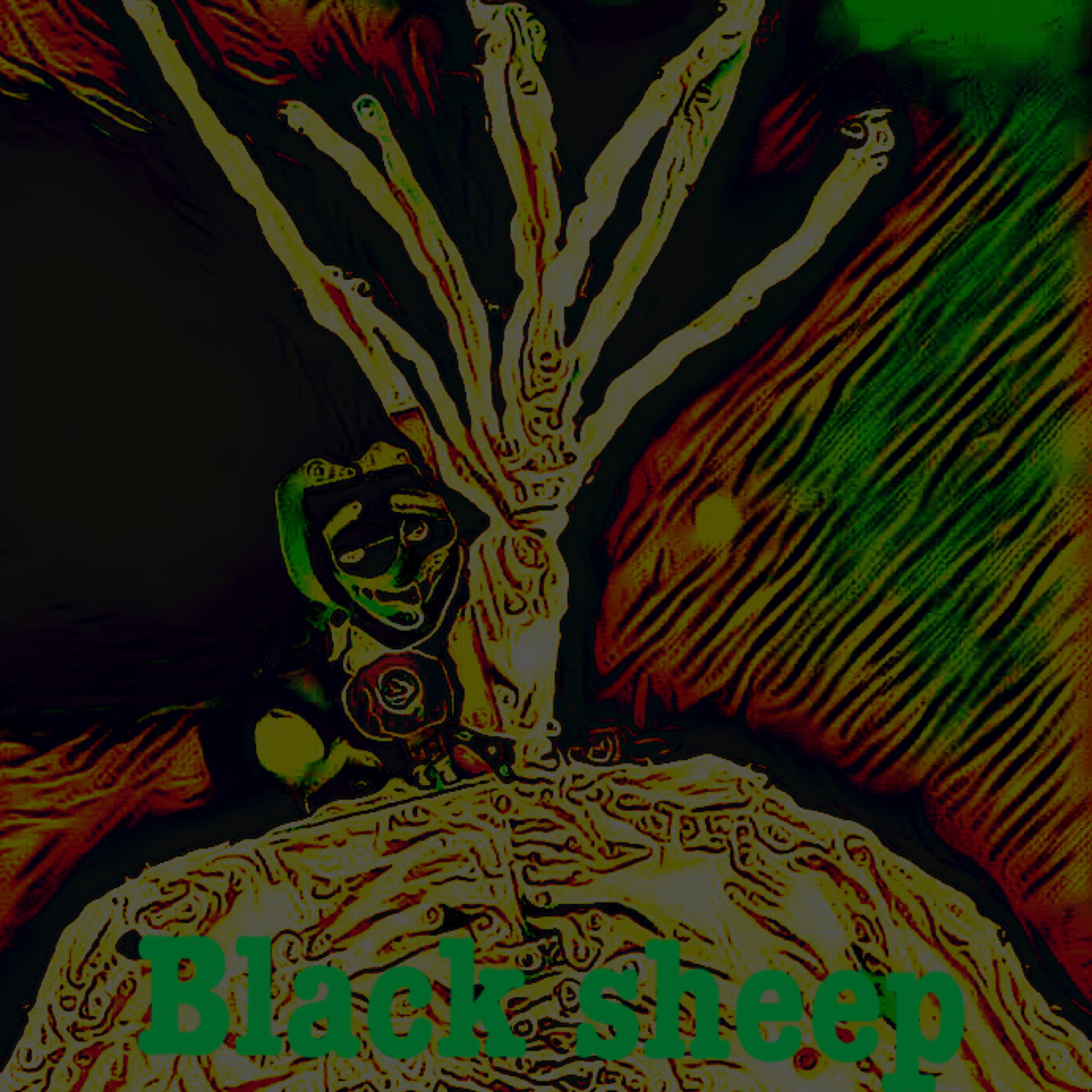 Black Sheep artwork