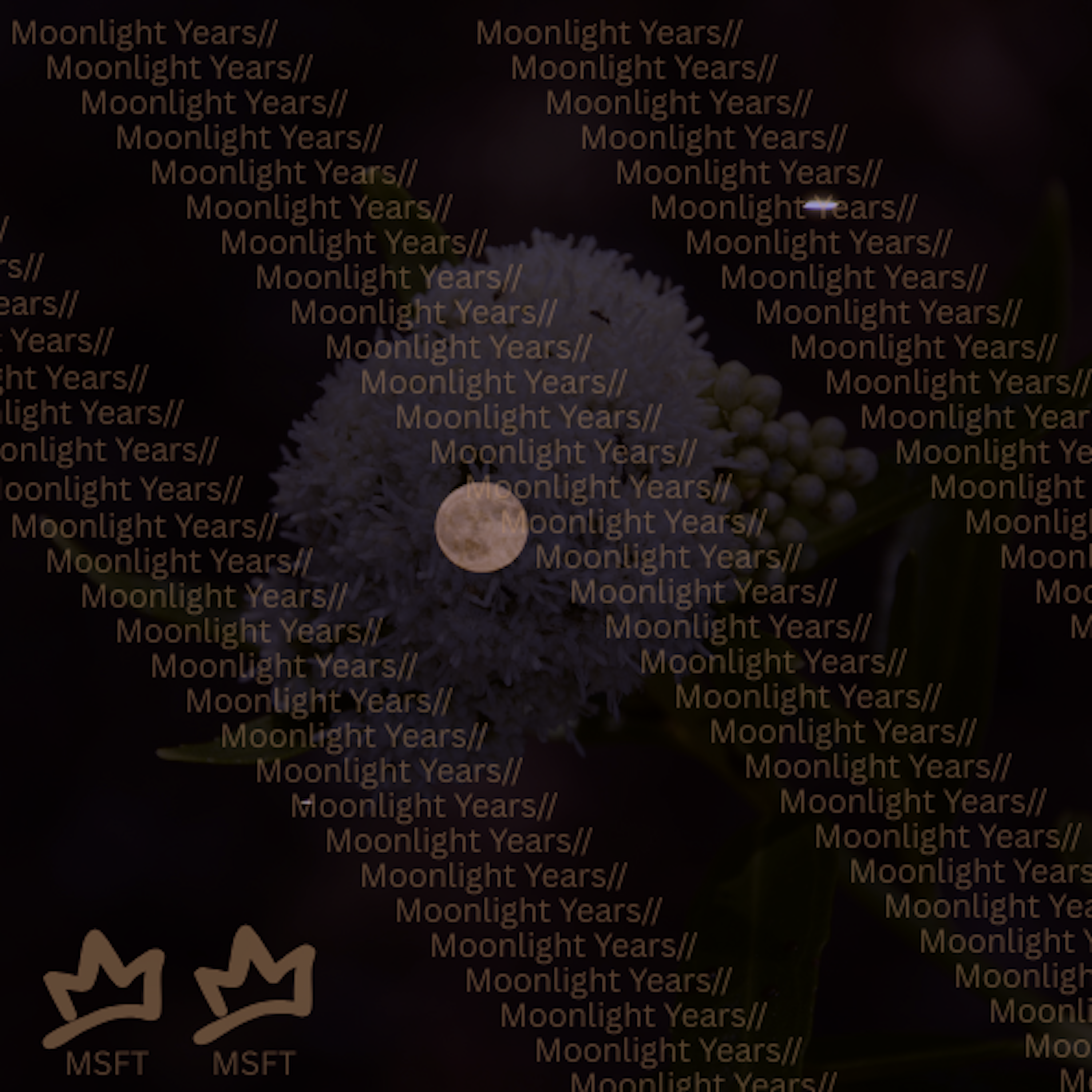 Moonlight Years artwork