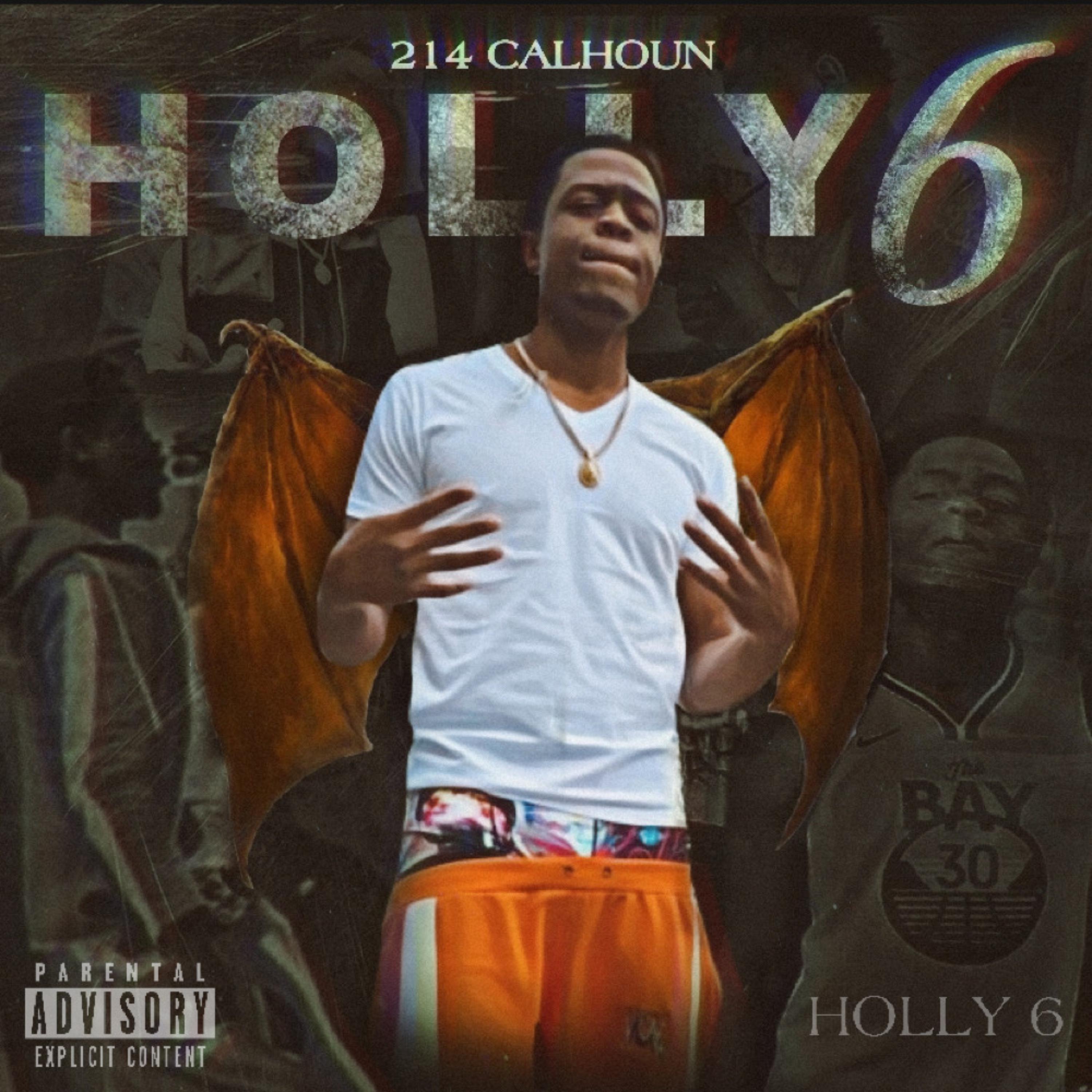 Holly6 artwork
