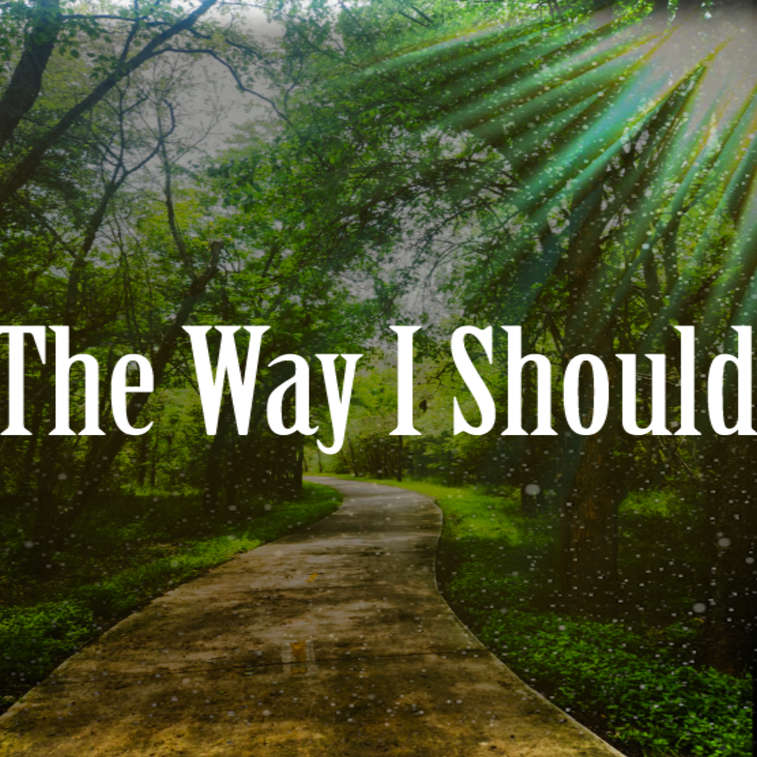 The Way I Should artwork