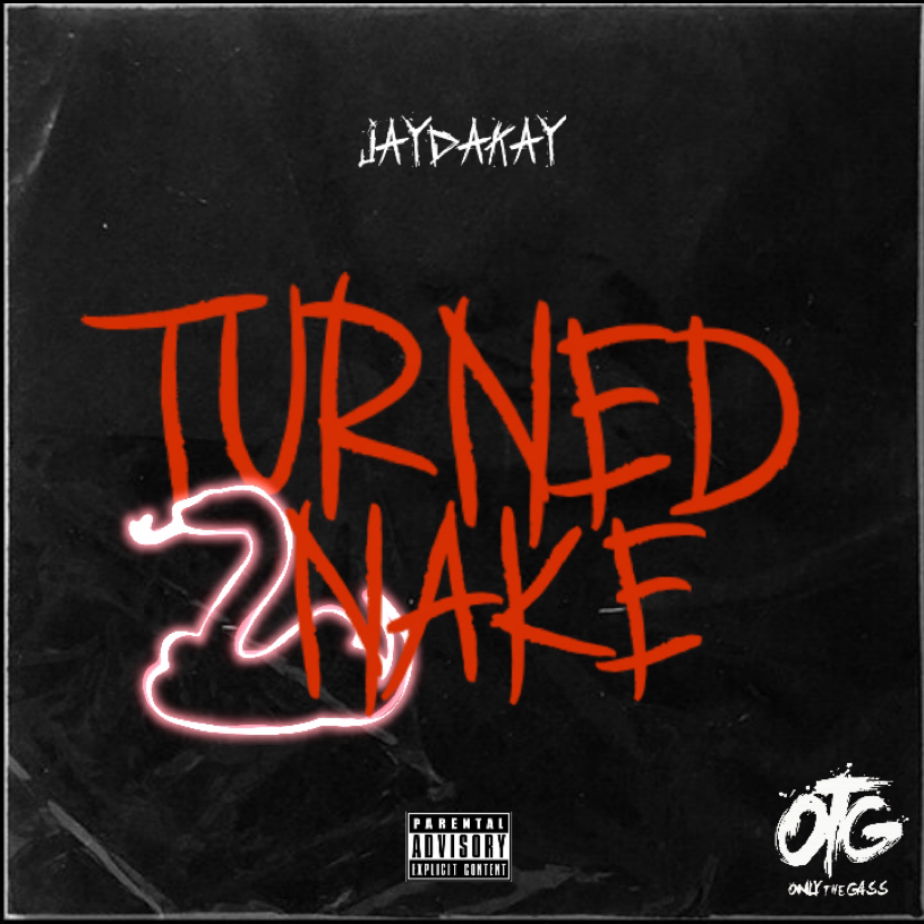 TURNED SNAKE artwork