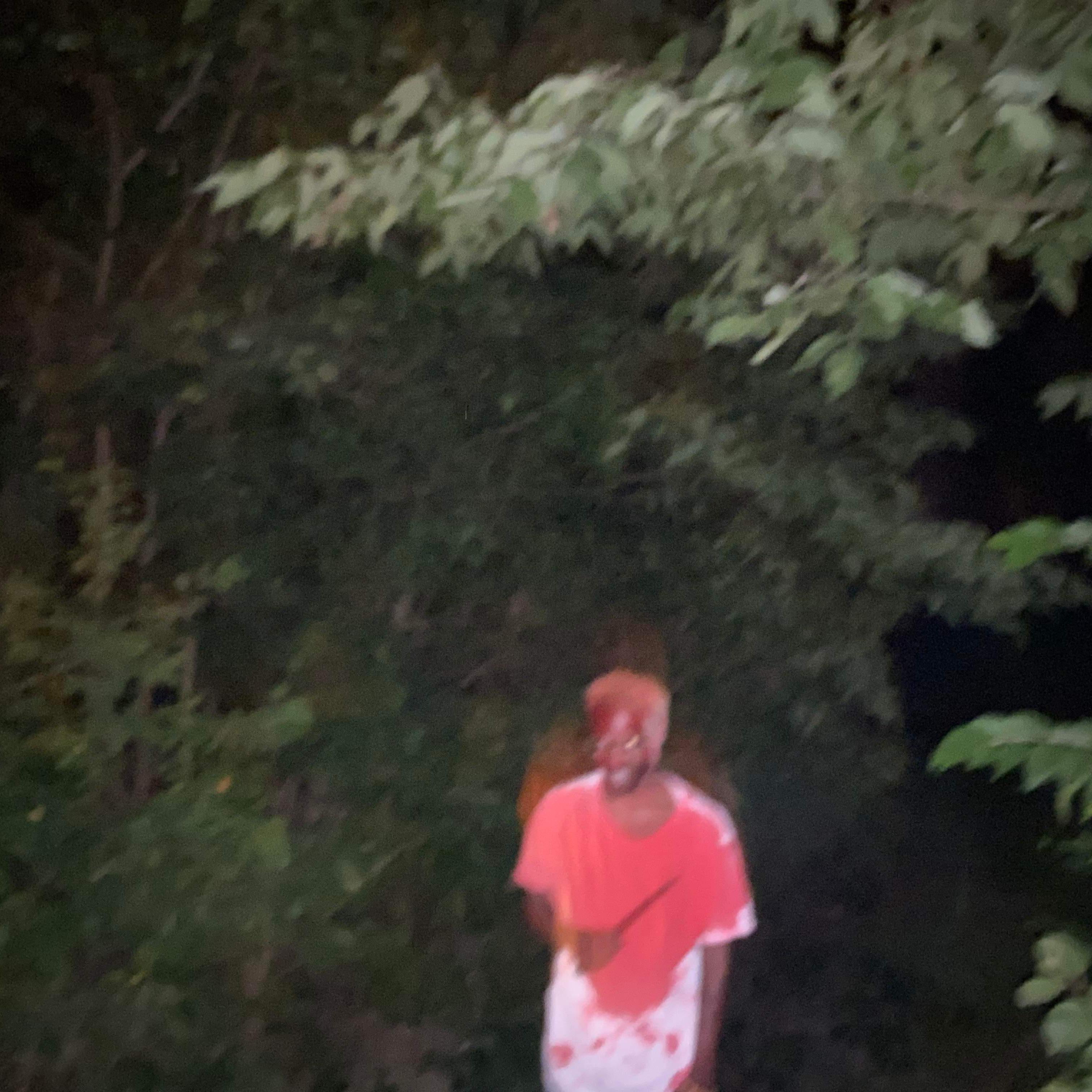4 The Slime artwork