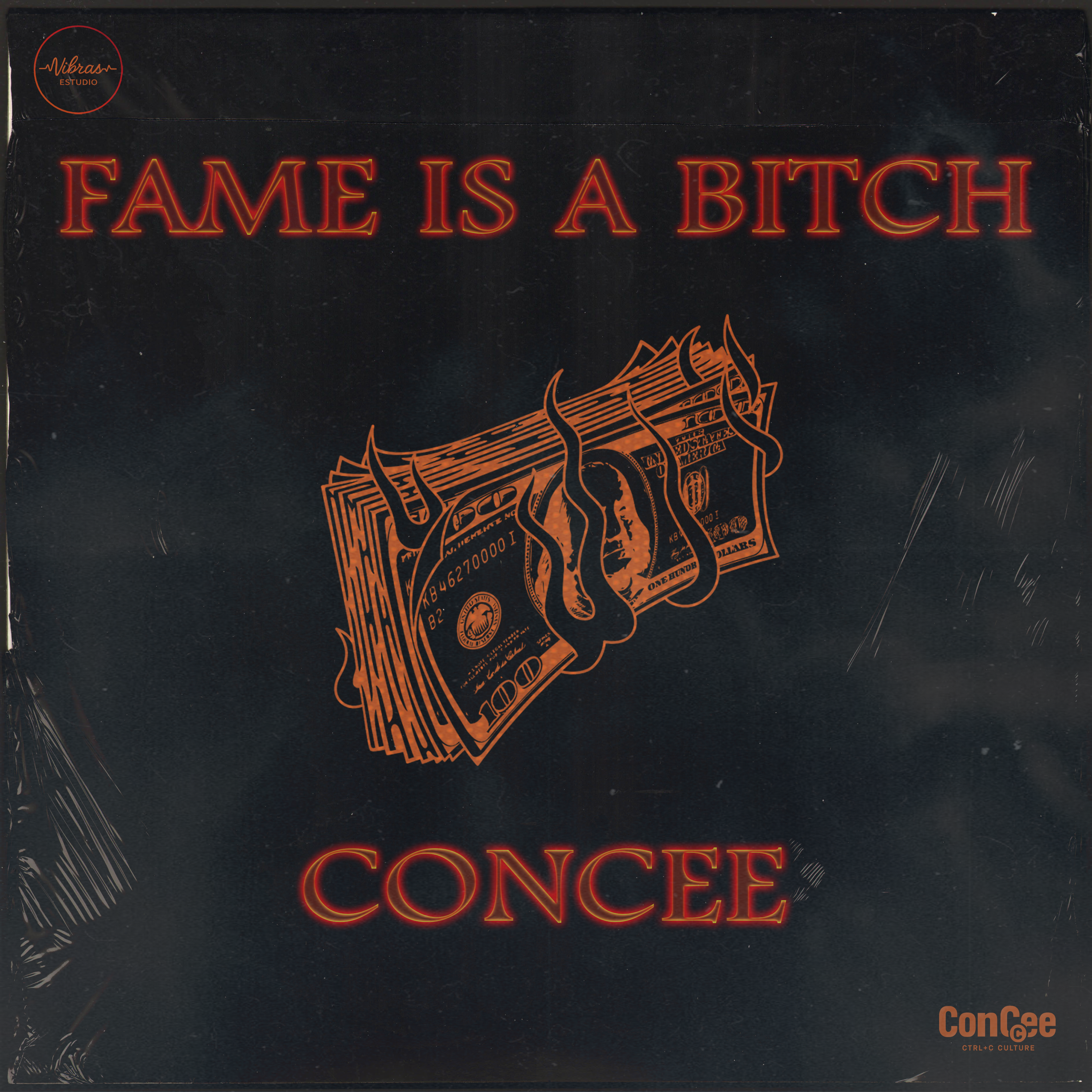 Fame is a bitch artwork