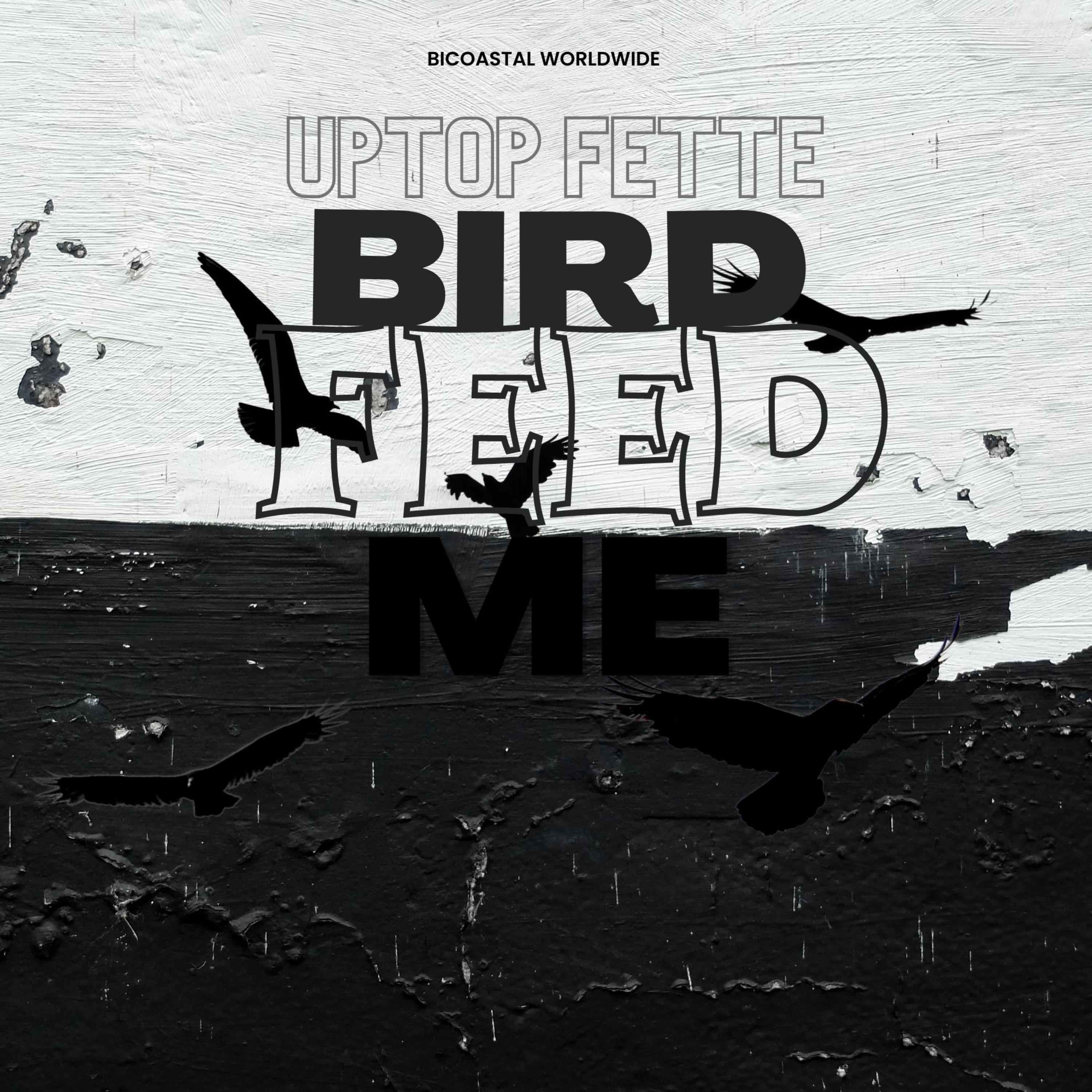 Bird Feed Me artwork
