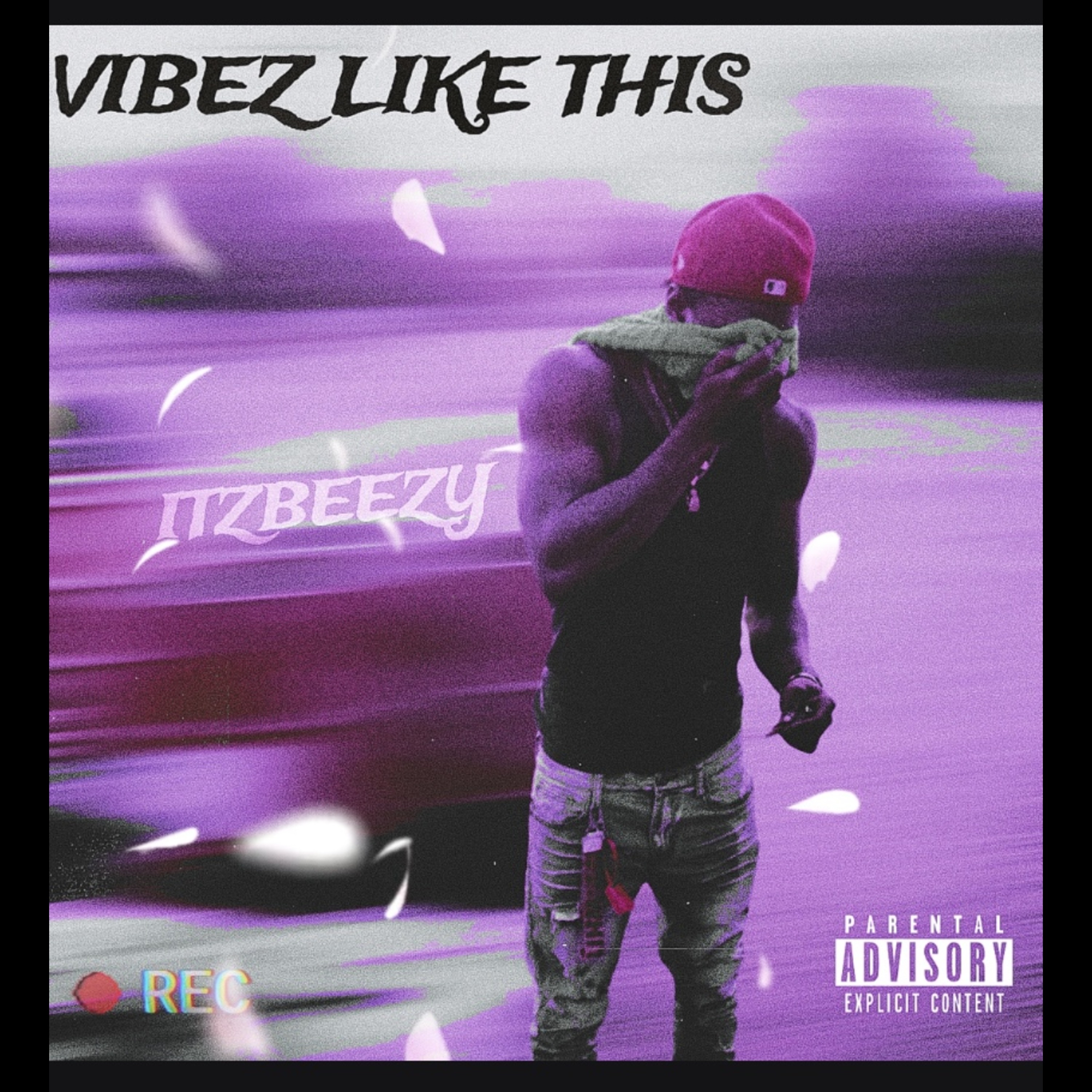 VIBEZ LIKE THIS artwork