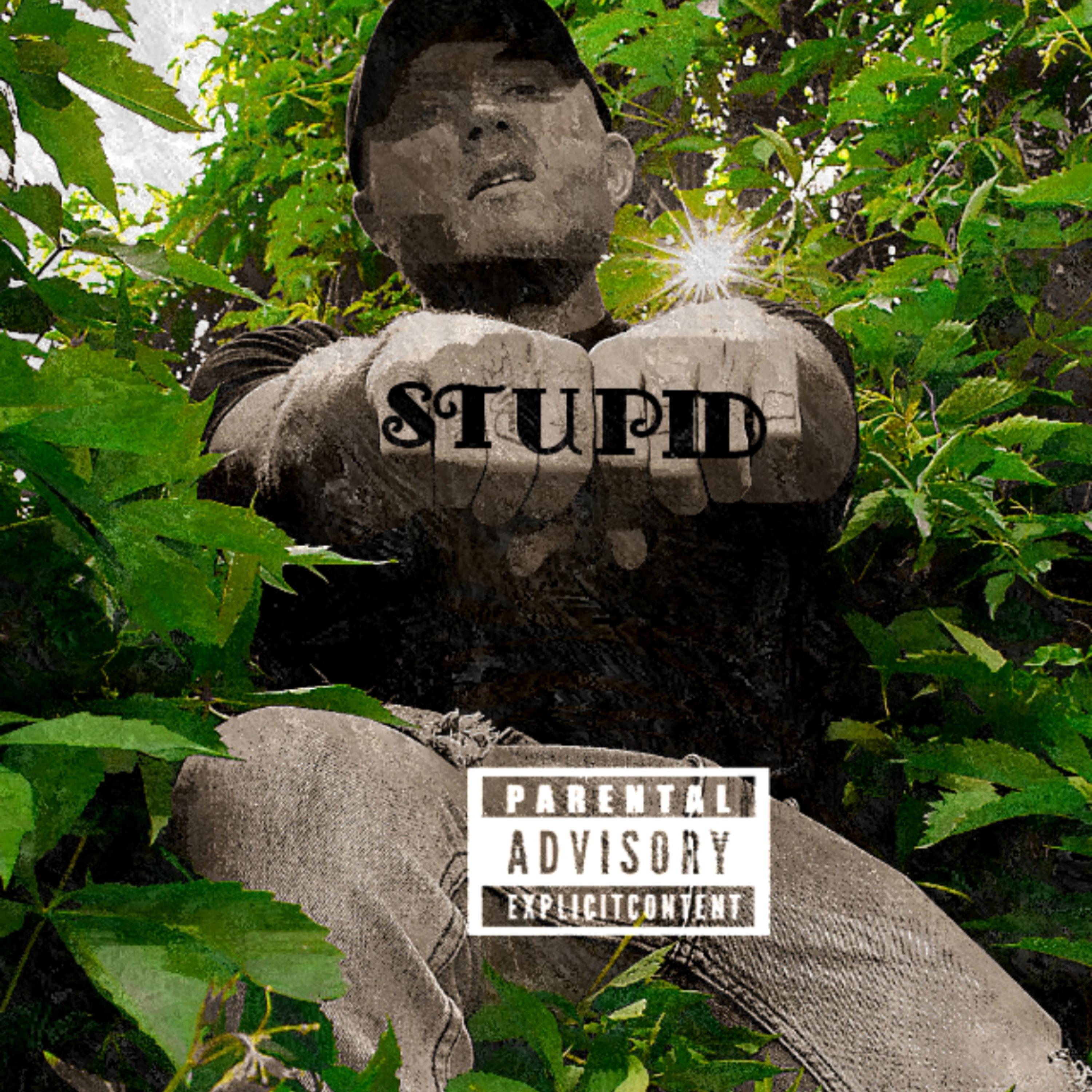 Stupid artwork
