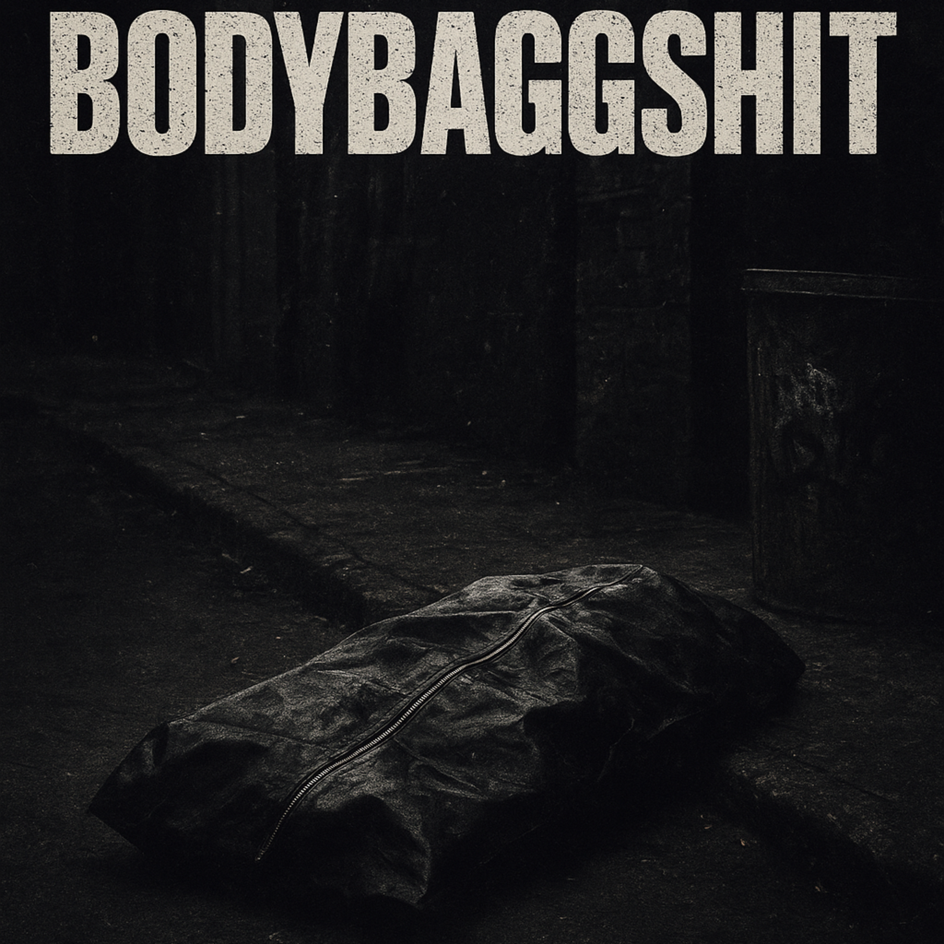 BodyBaggShit artwork