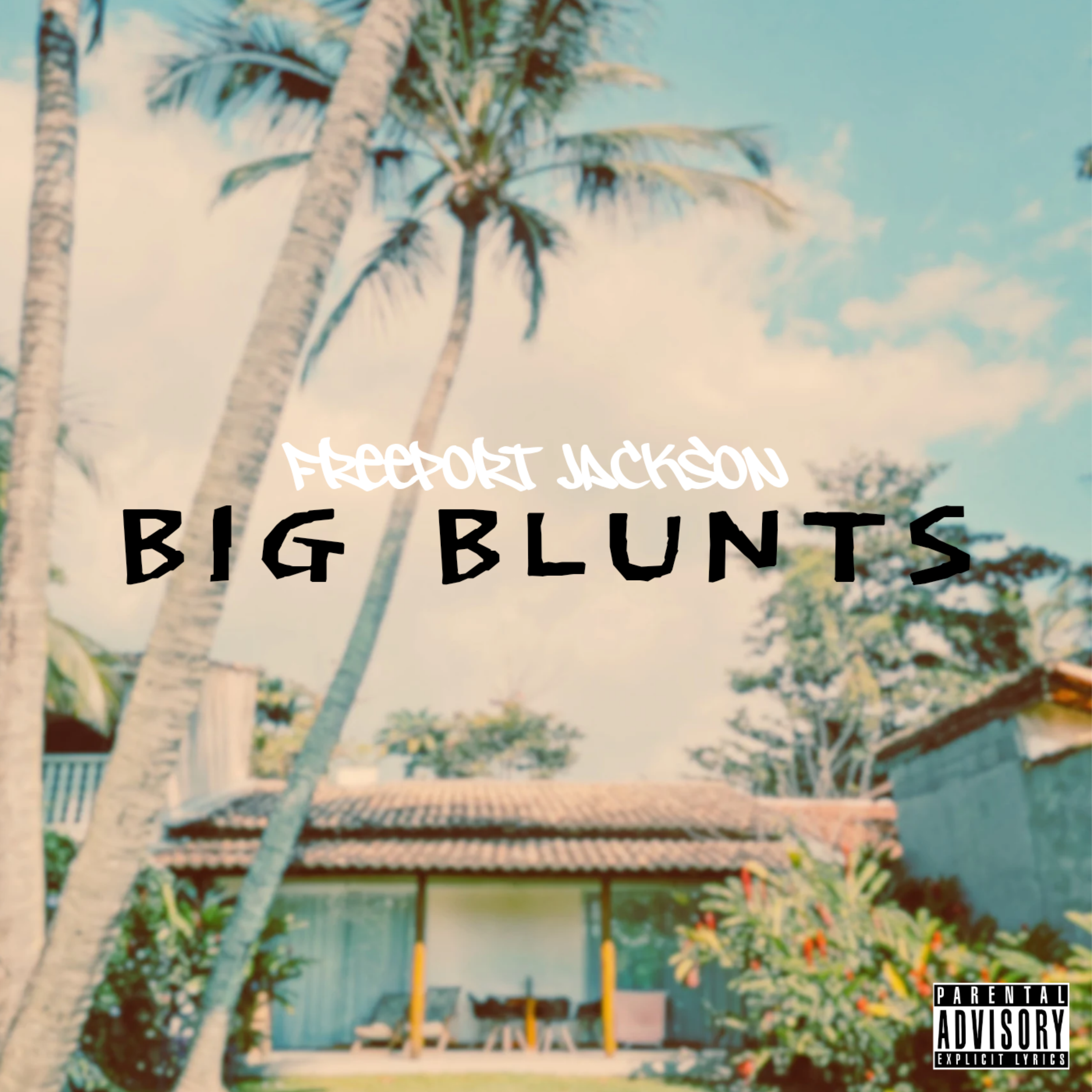 Big Blunts by Freeport JACKSON  cover art