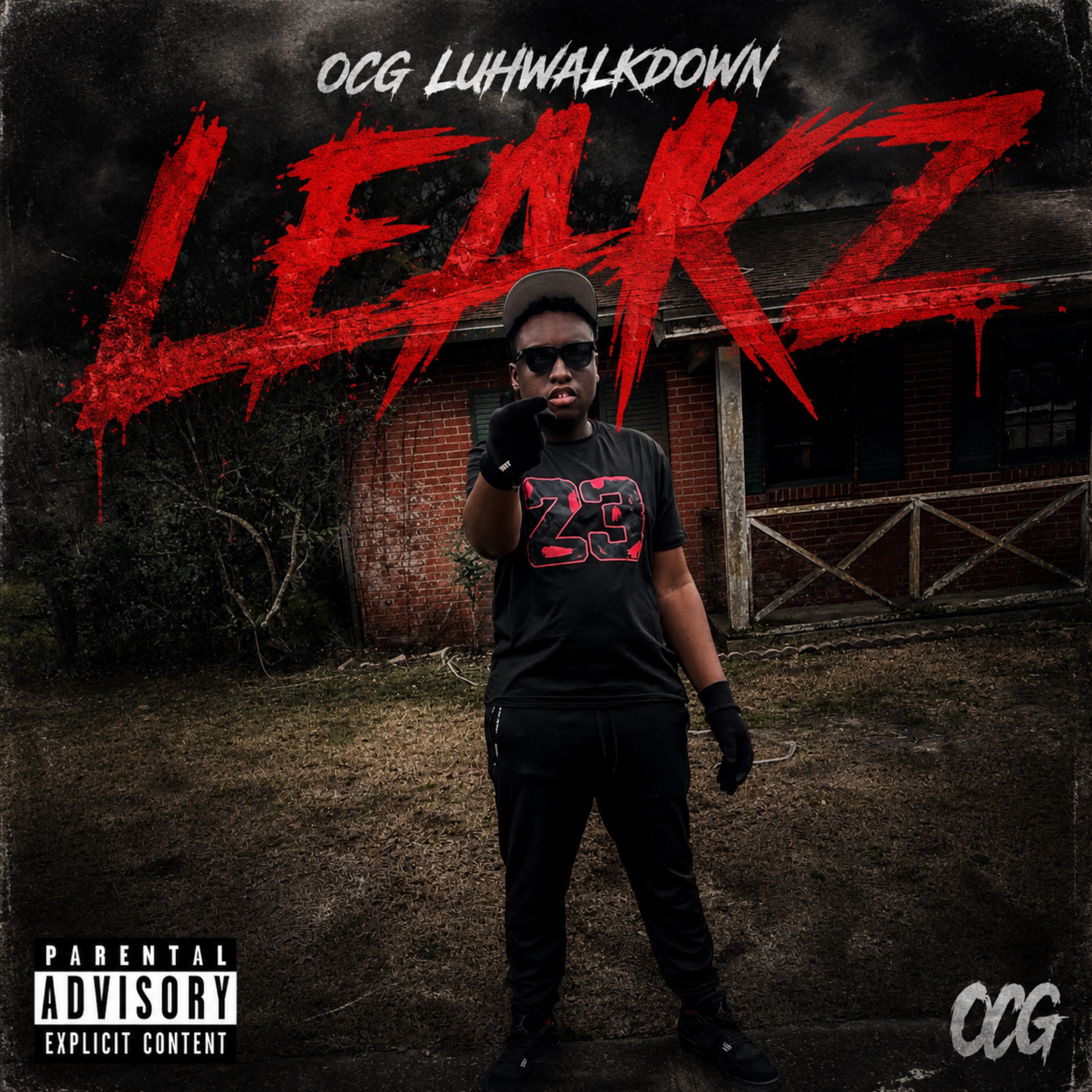 Leakz by OCG Luhwalkdown cover art
