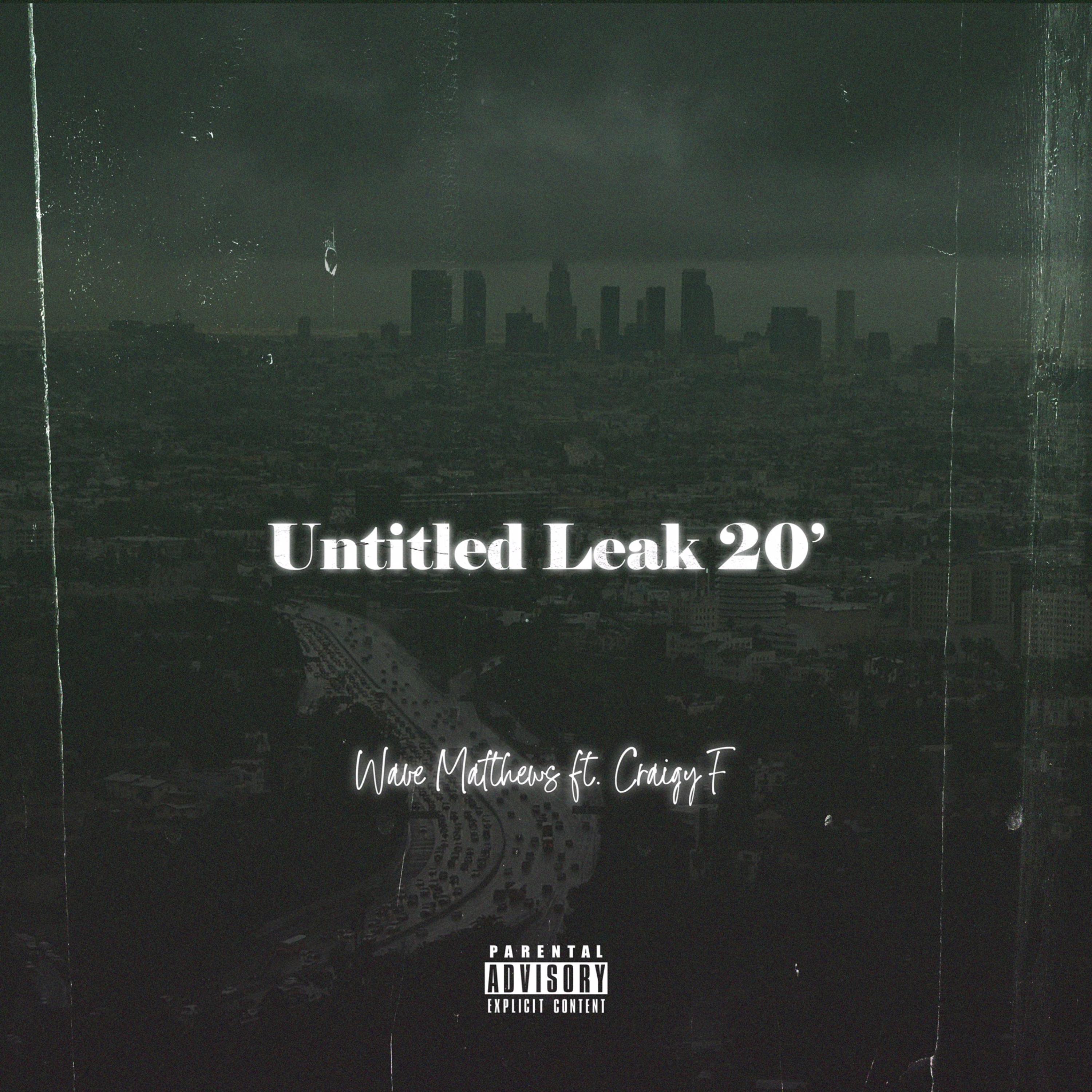 Untitled leak 20' artwork