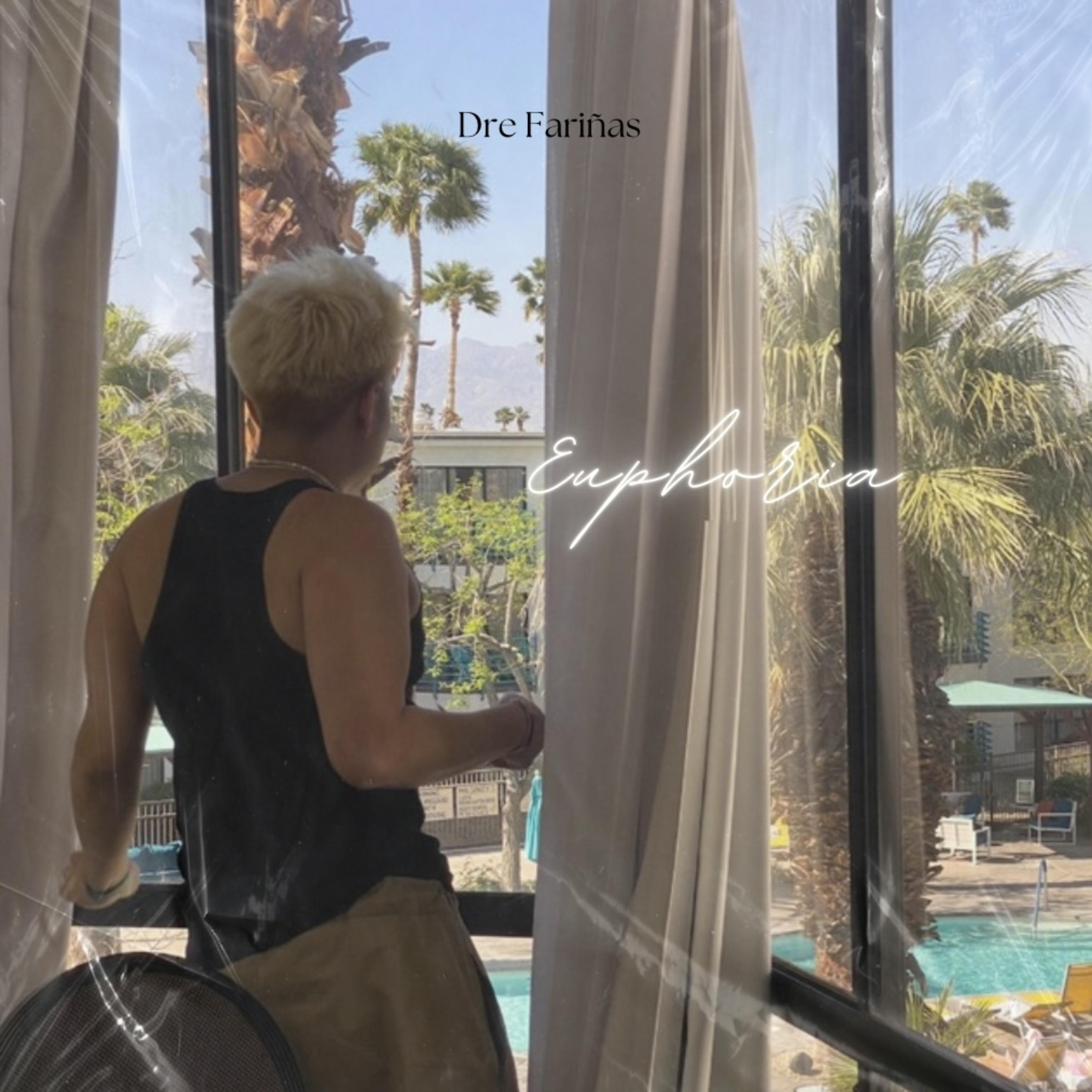 Euphoria artwork