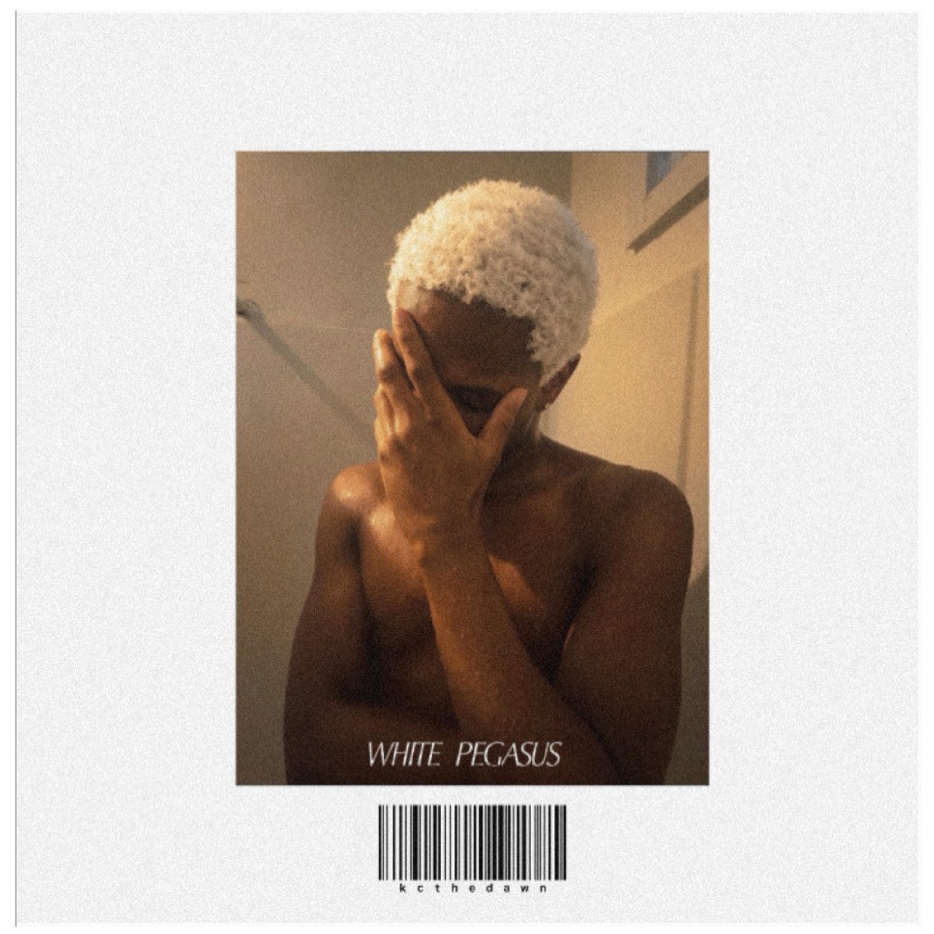 White Pegasus by kcthedawn cover art