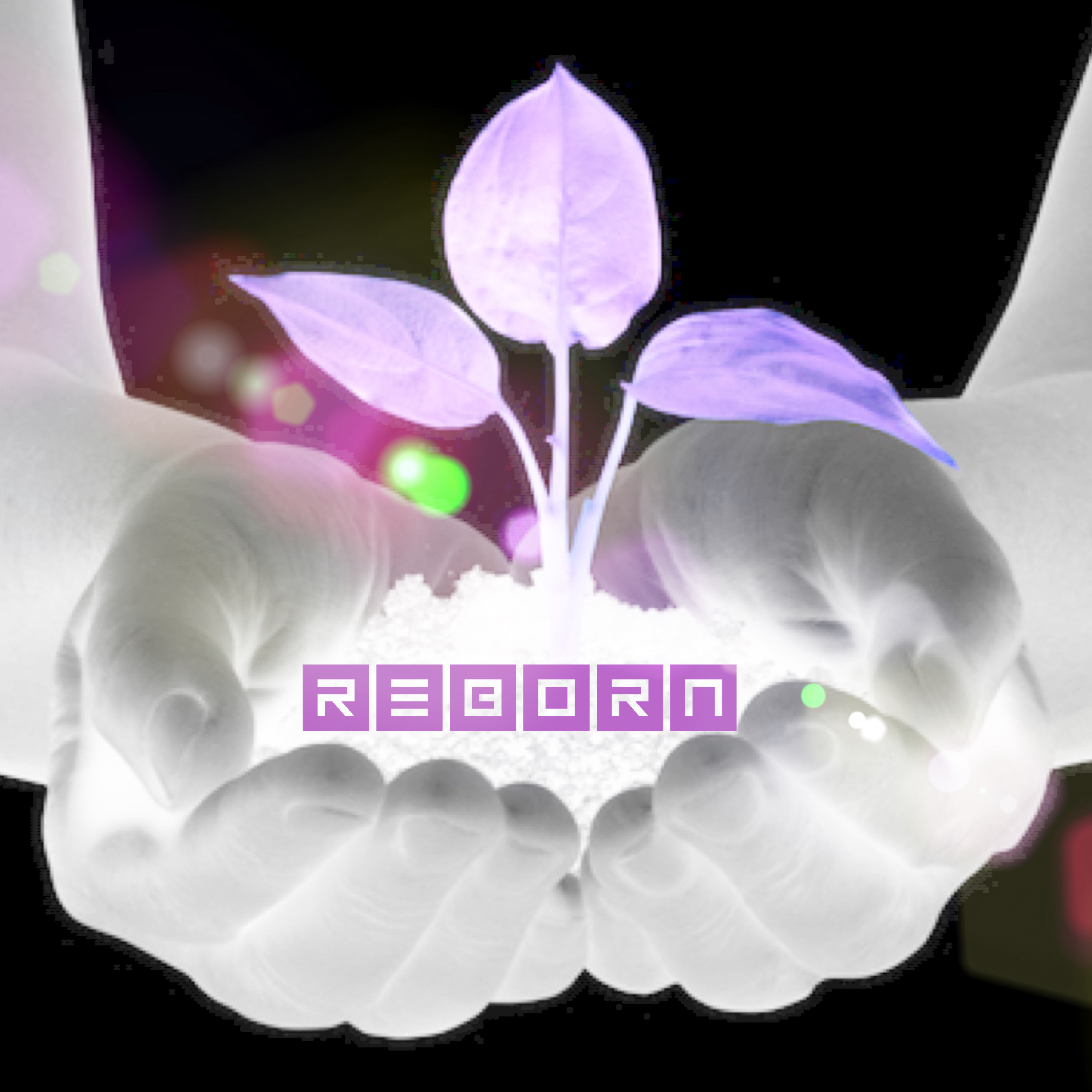 REBORN artwork