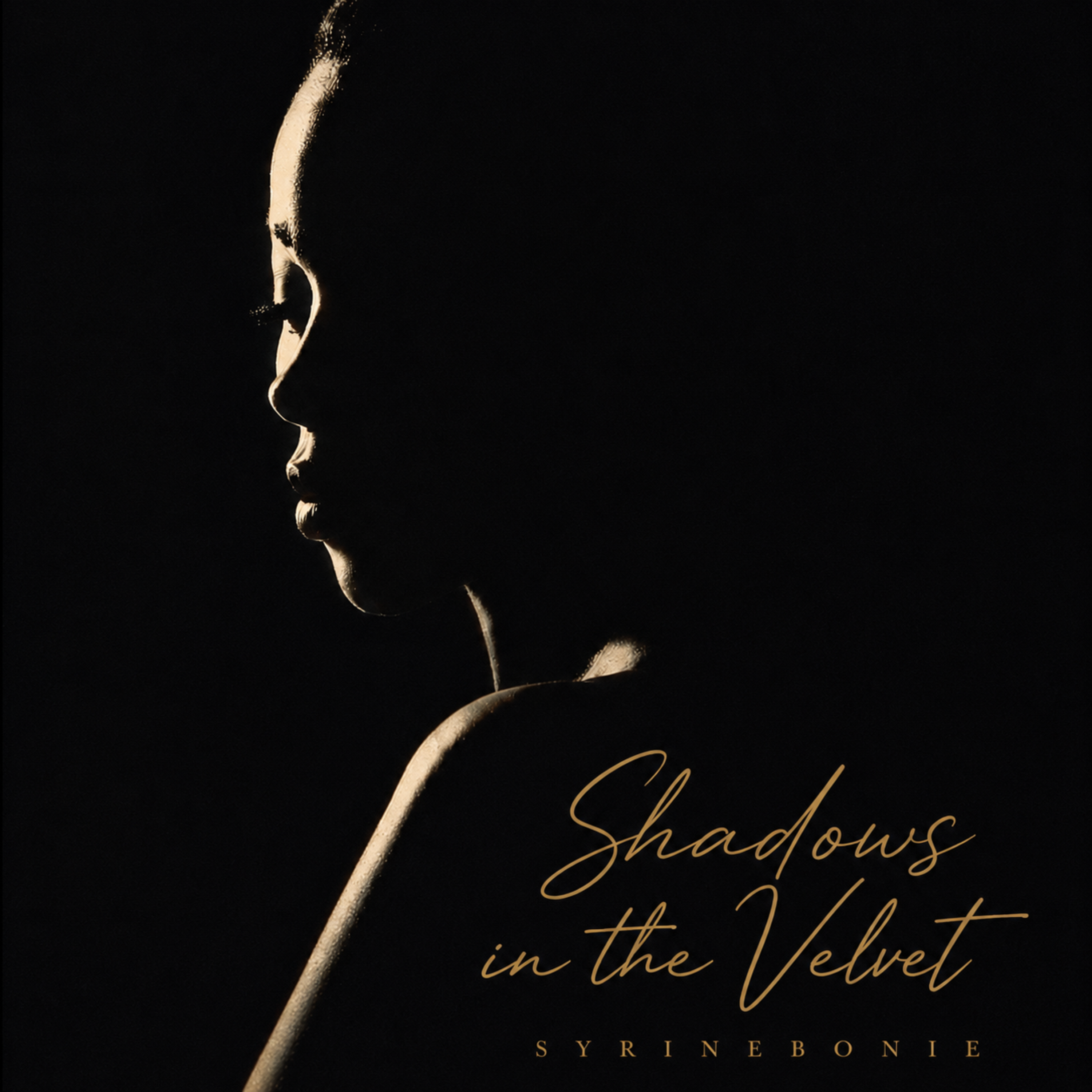 Shadow In The Velvet by SyrinEbonie cover art